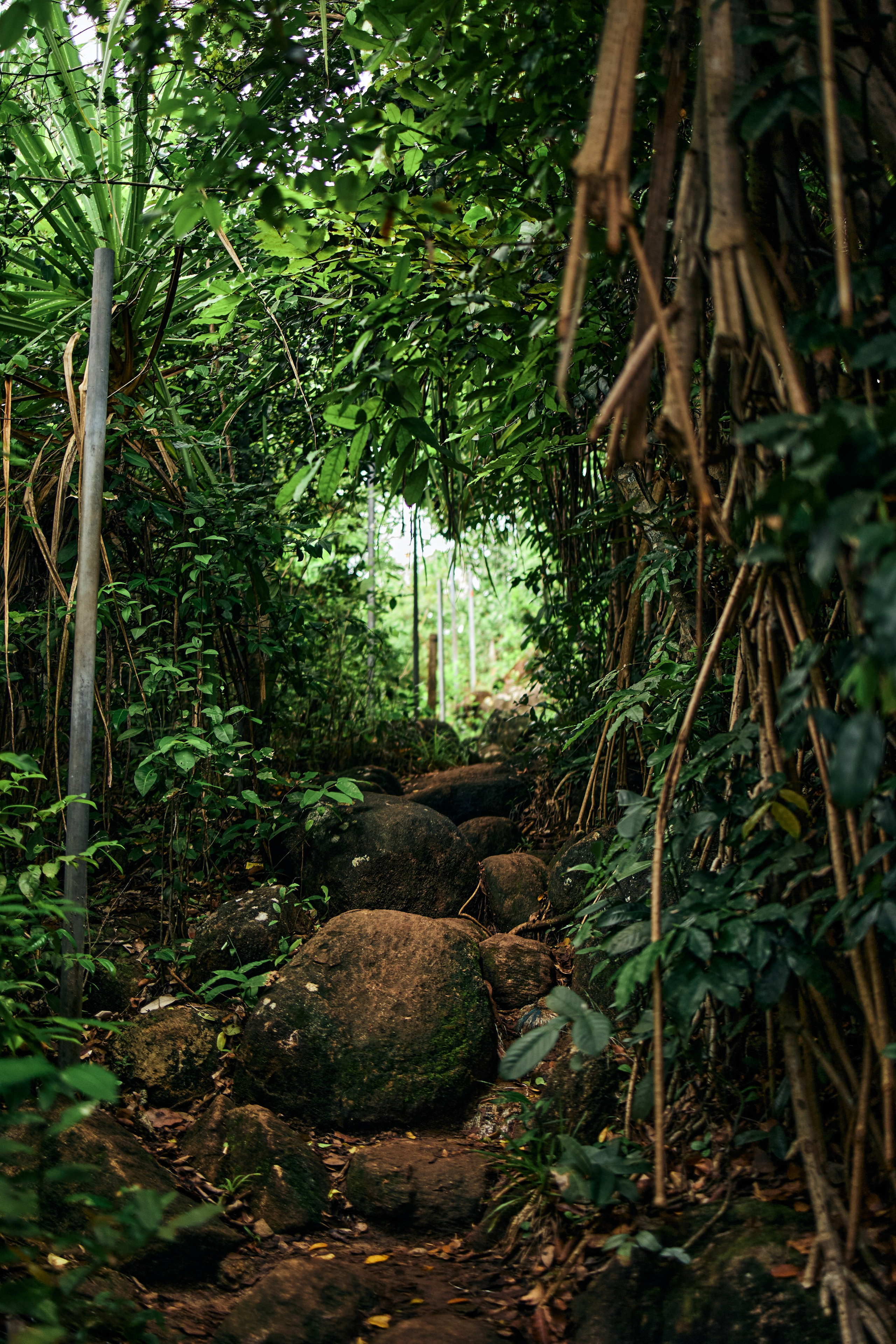 Шри-Ланка. Хороший репортажный и промышленный фотограф в Казани Алексей Щелконогов