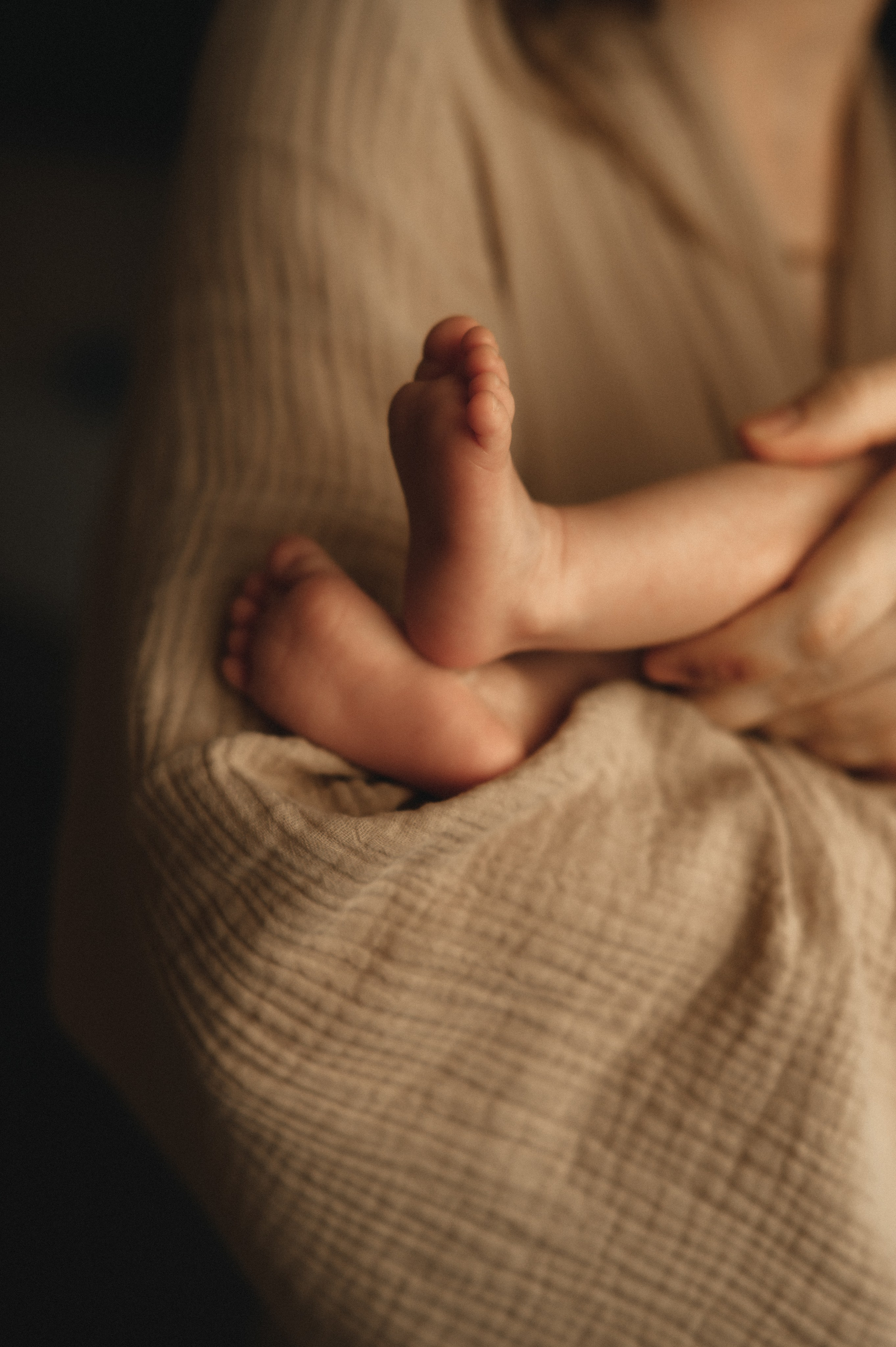 Первый месяц. Мама, папа и малыш. Семейный фотограф в г. Ставрополь, Сорокина Мария