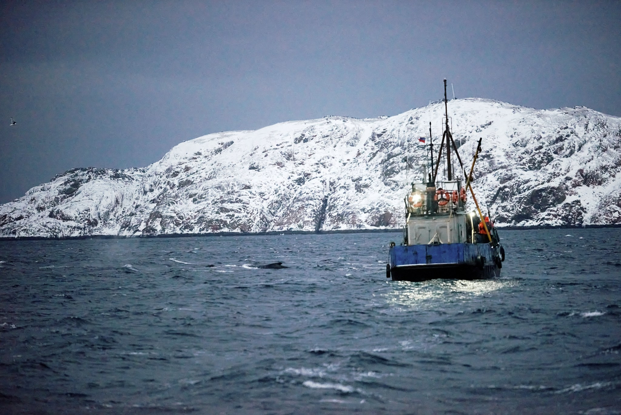 Путешествие в Арктику в 2023 году. Внедорожные путешествия — OFFROADTRIP