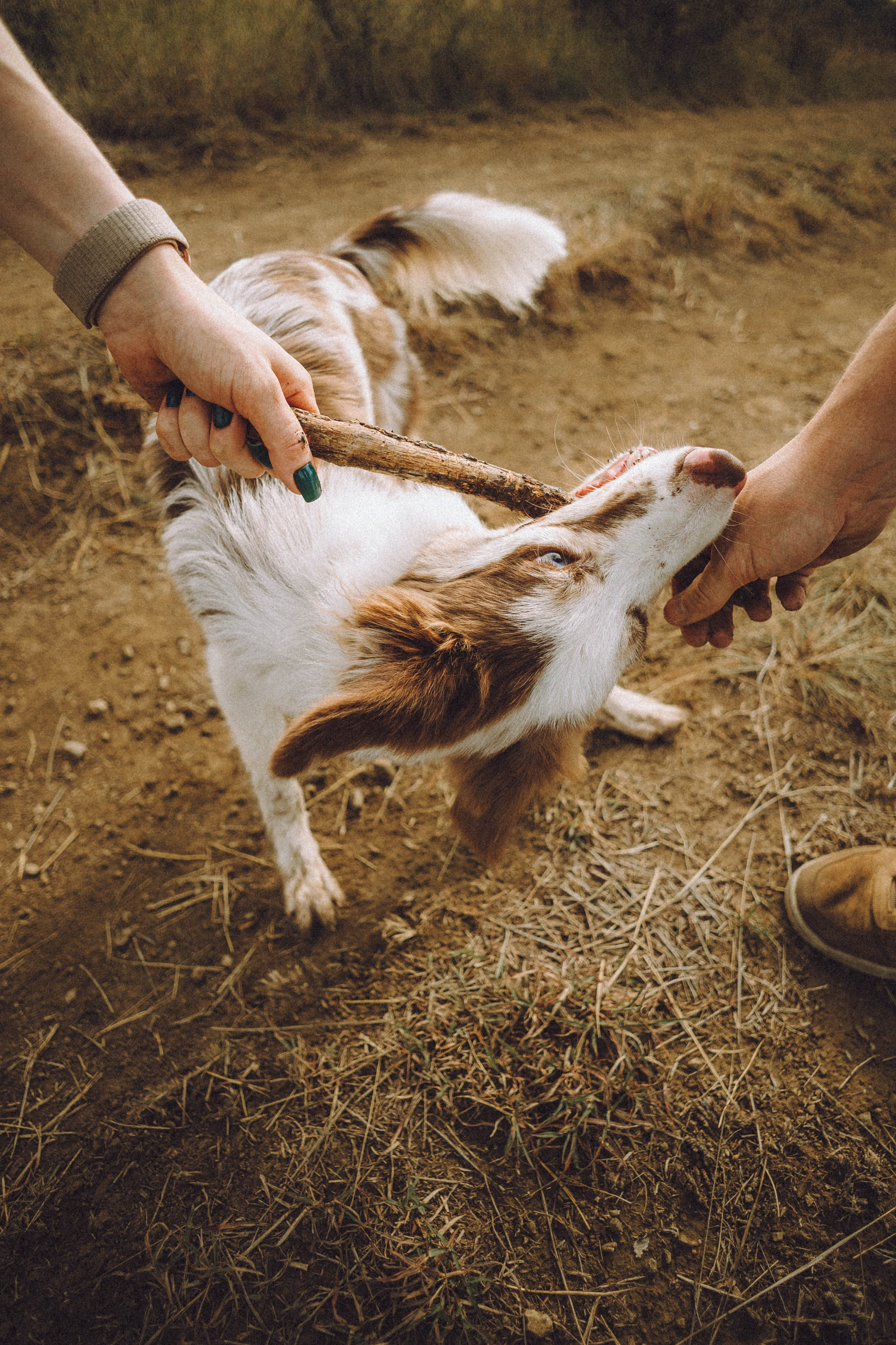 Оля, Саша и Айко