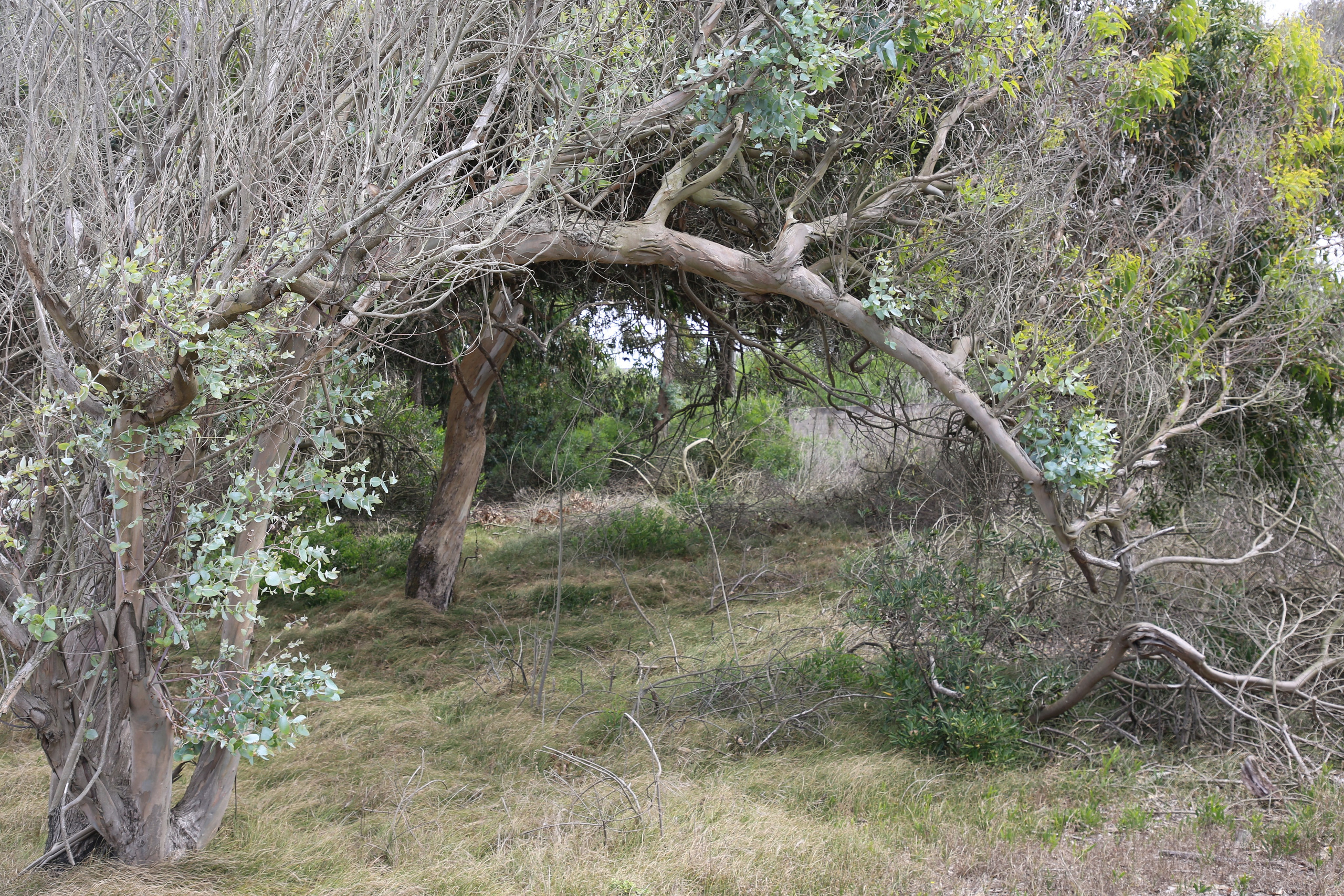 Esmoriz, Portugal. Andrey Filippov Photographer