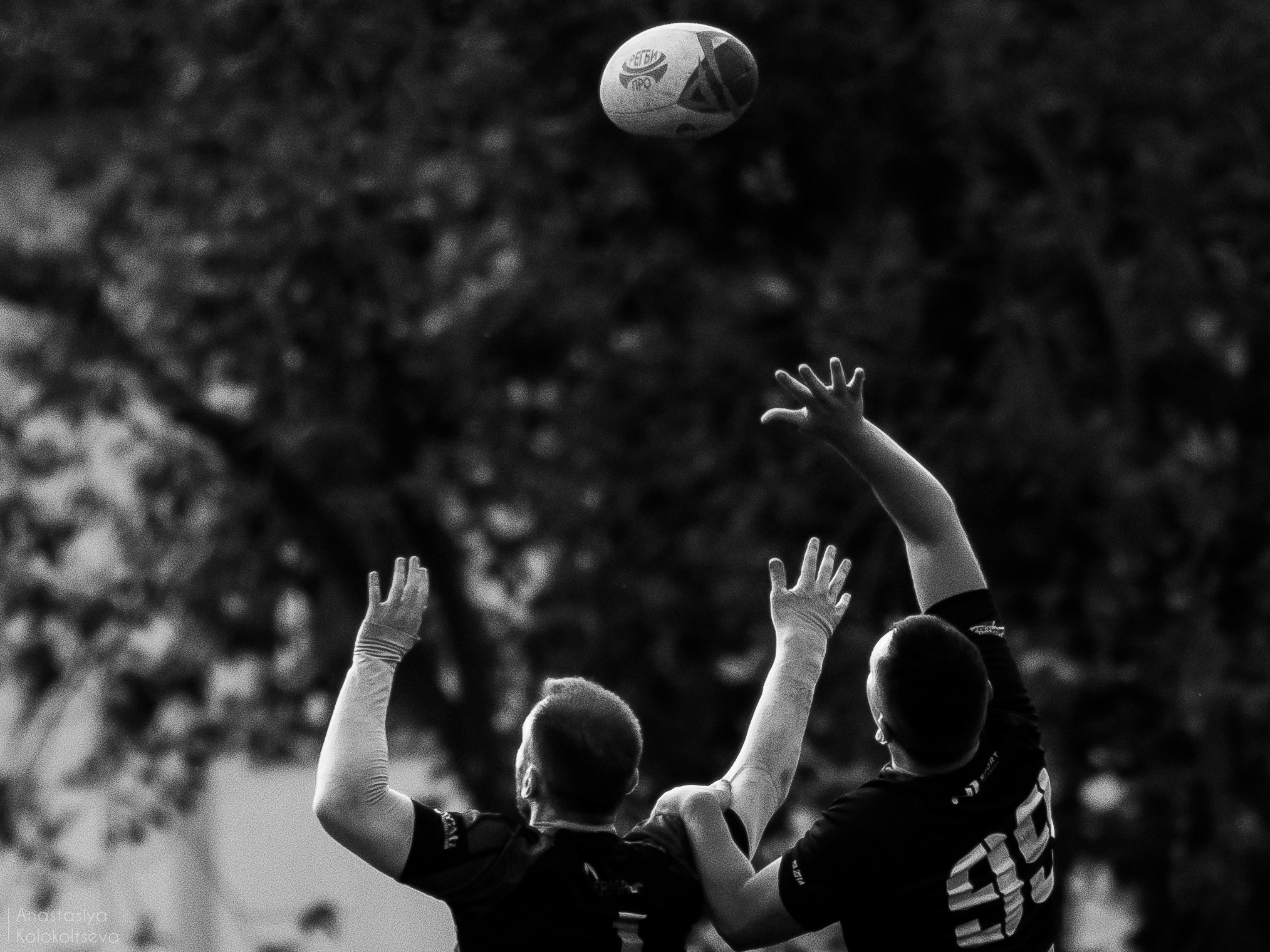 RUGBY. Lisa_krassna