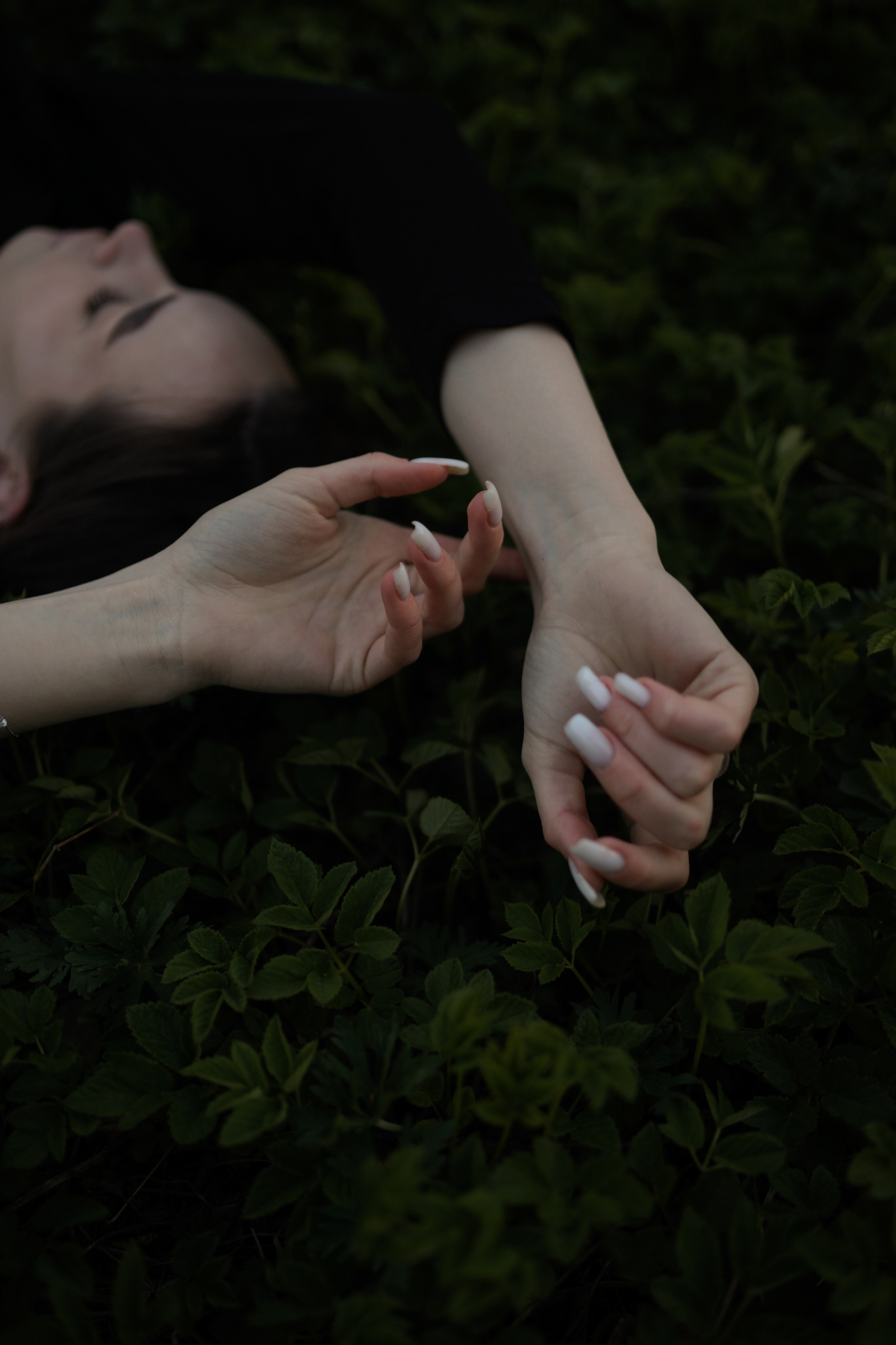 Первый рассвет