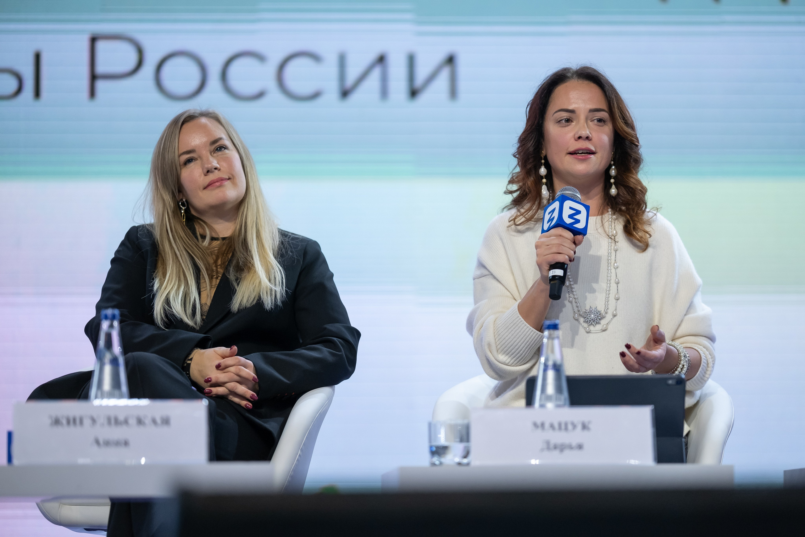 Деловая программа. Дмитрий Шишкин