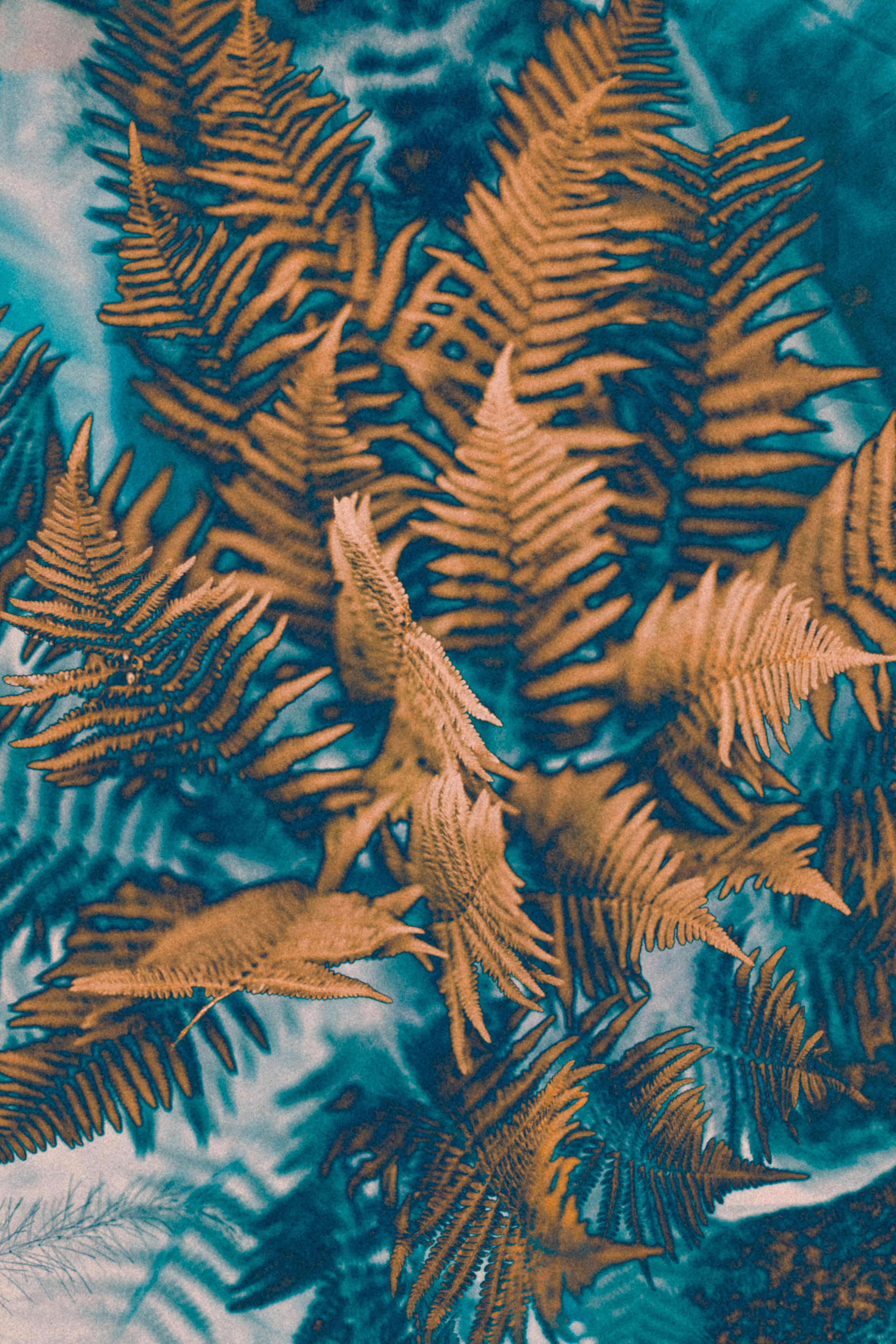 NON-EXISTENT FLOWERS. Фотограф Евгений Чащихин RGB АРХИТЕКТОР в Перми