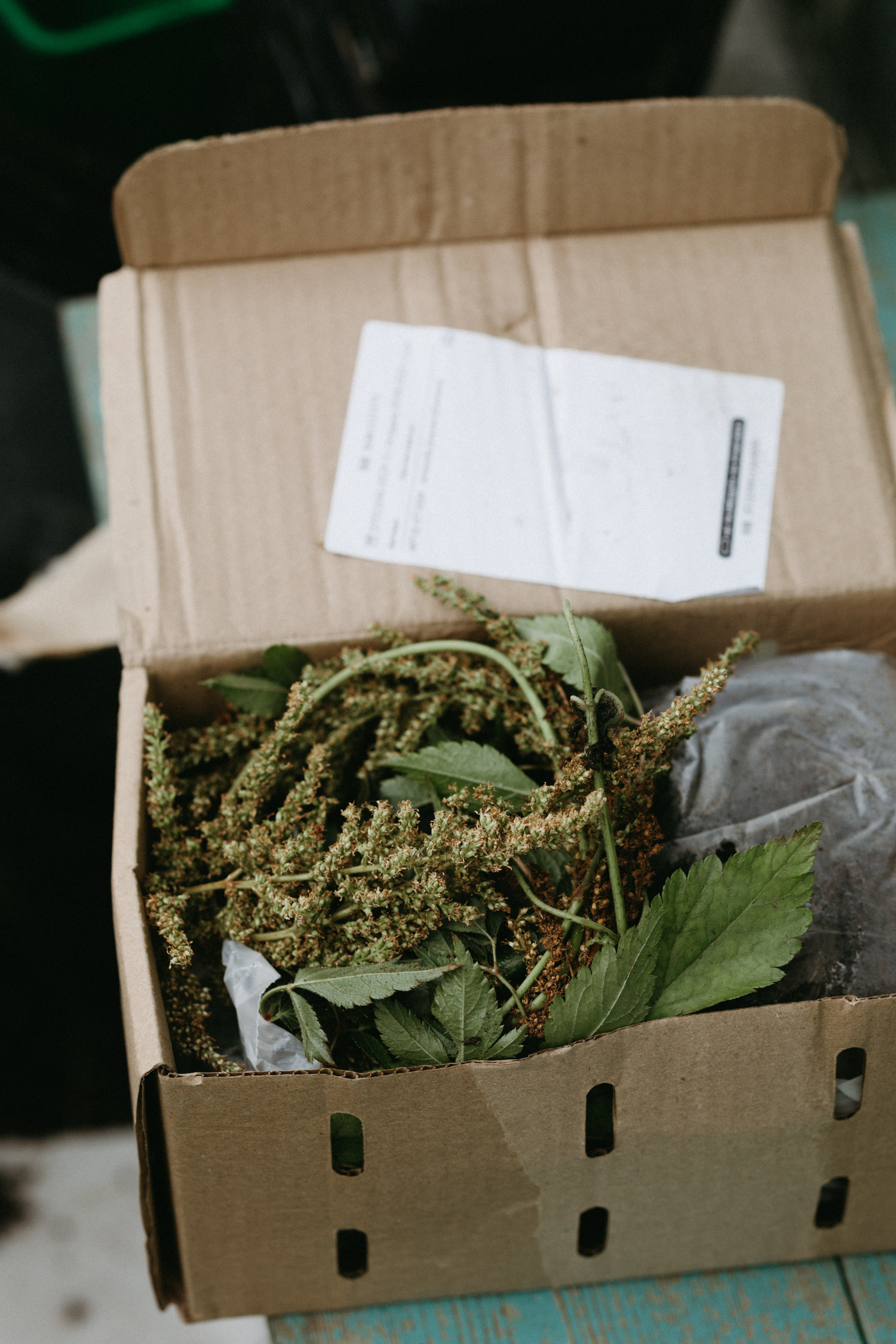 Дача. Про любовь