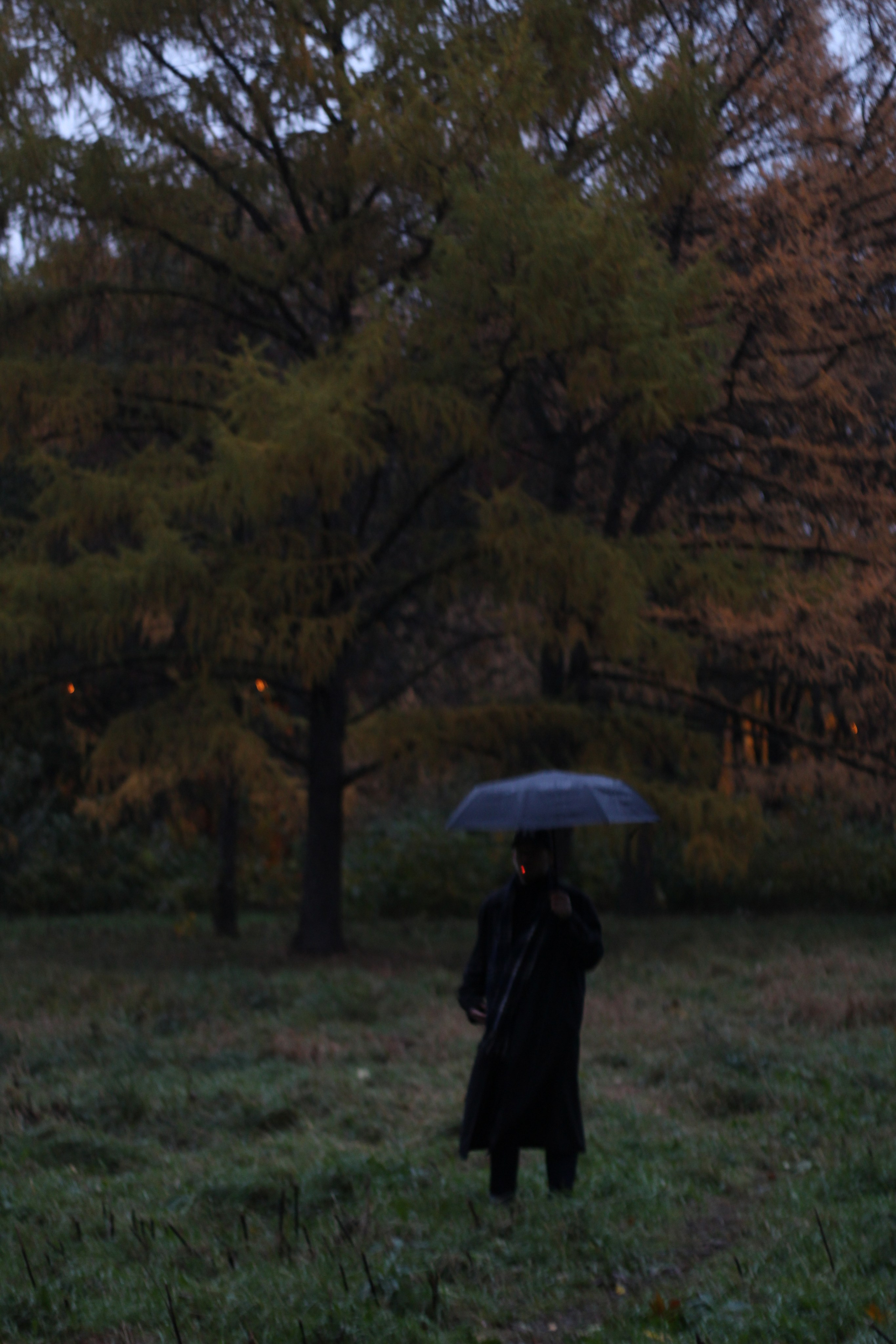 Мои работы. Фотограф Москва-Нальчик Абазов Астемир