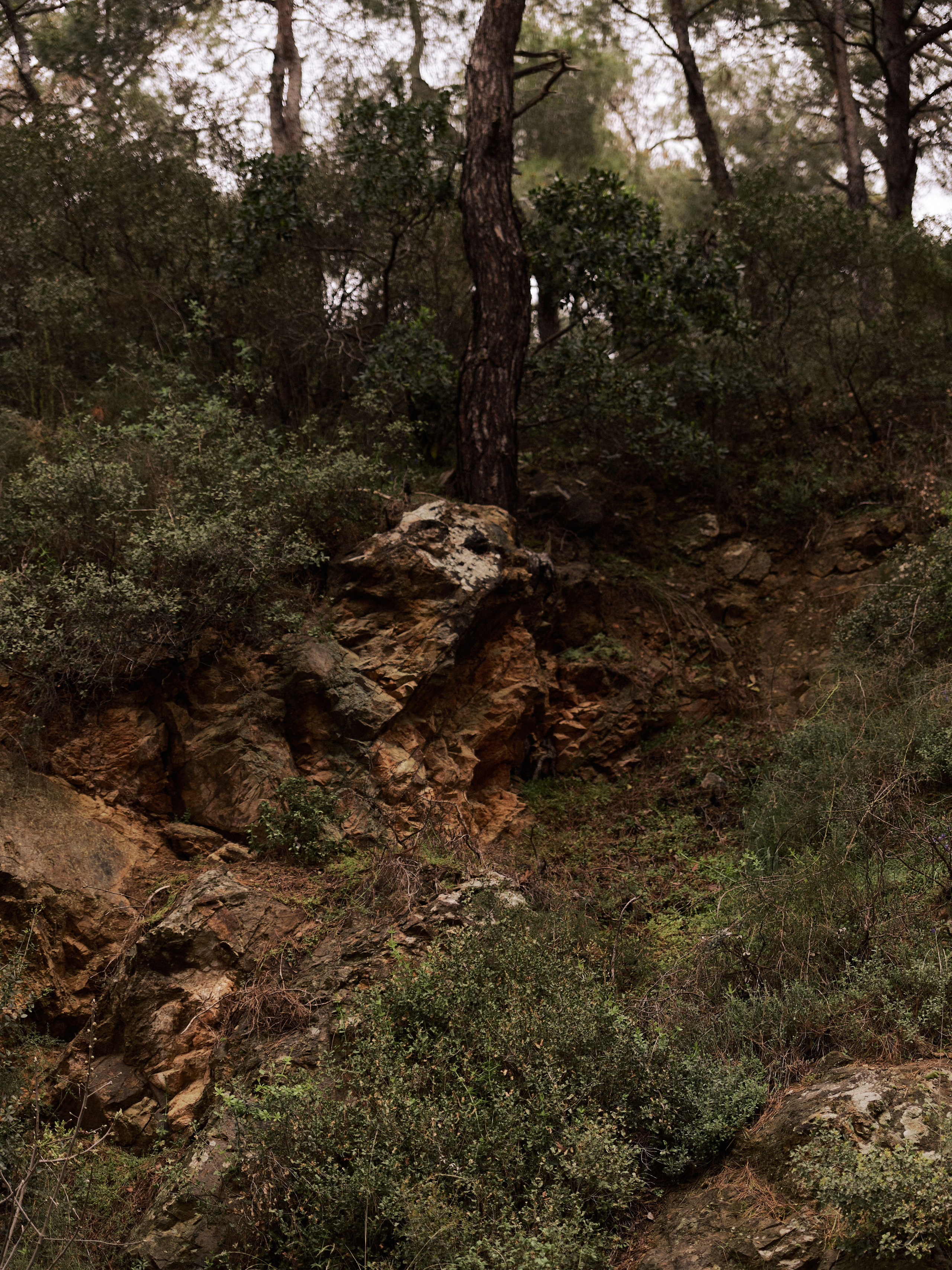 Природа. Jorgis Talè — photographer, kind person, teacher of arts and other mag