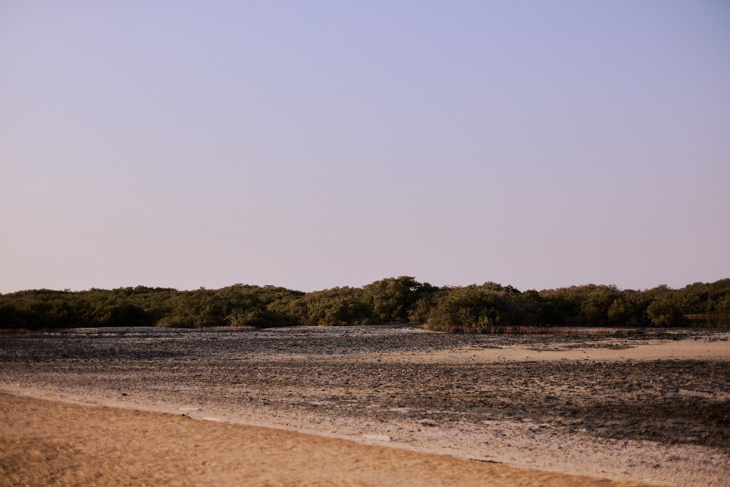 Другое 3. Jorgis Talè — photographer, kind person, teacher of arts and other mag