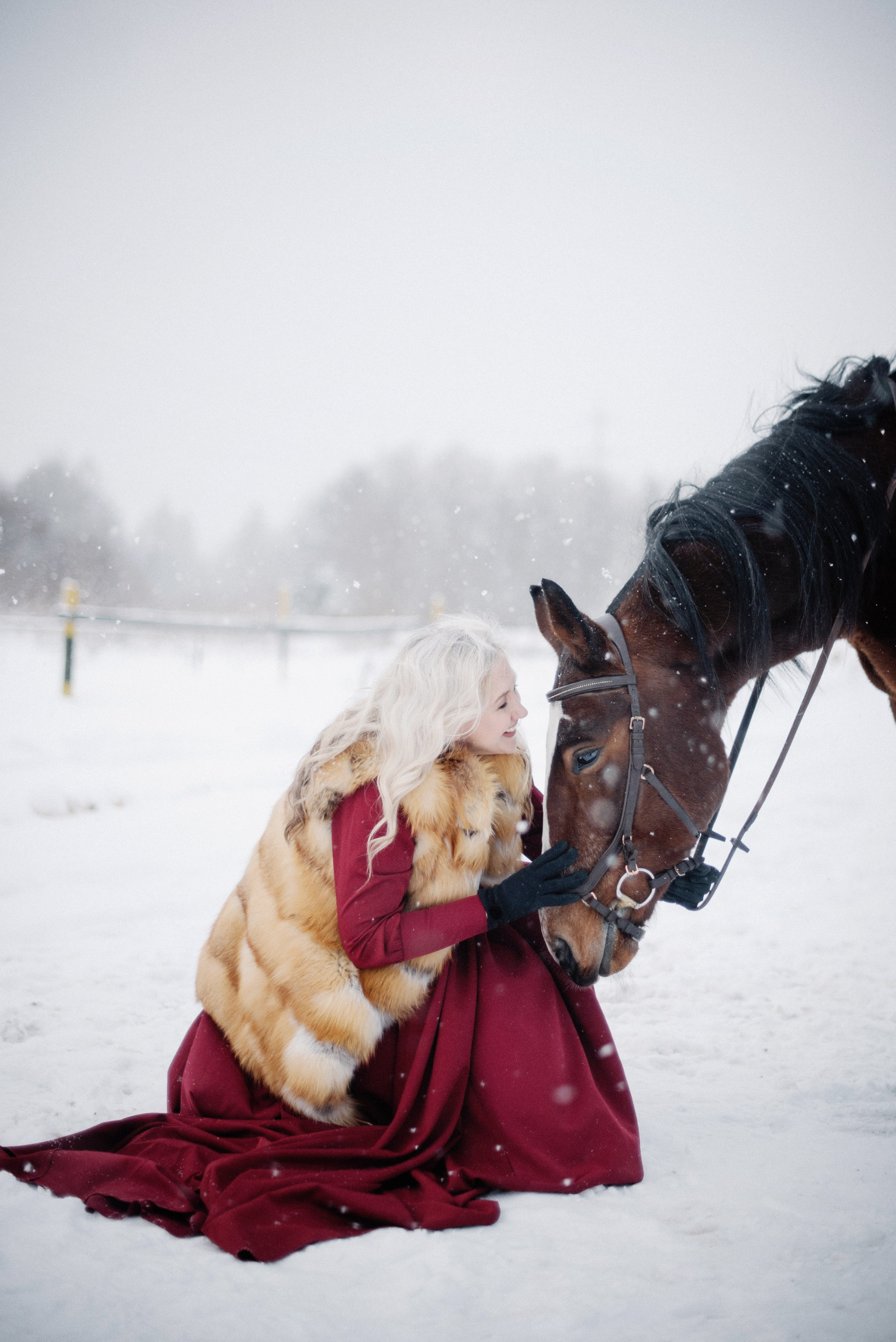Фото СИМВОЛ ГОДА 2026 от Натальи. ФОТОПРОЕКТЫ