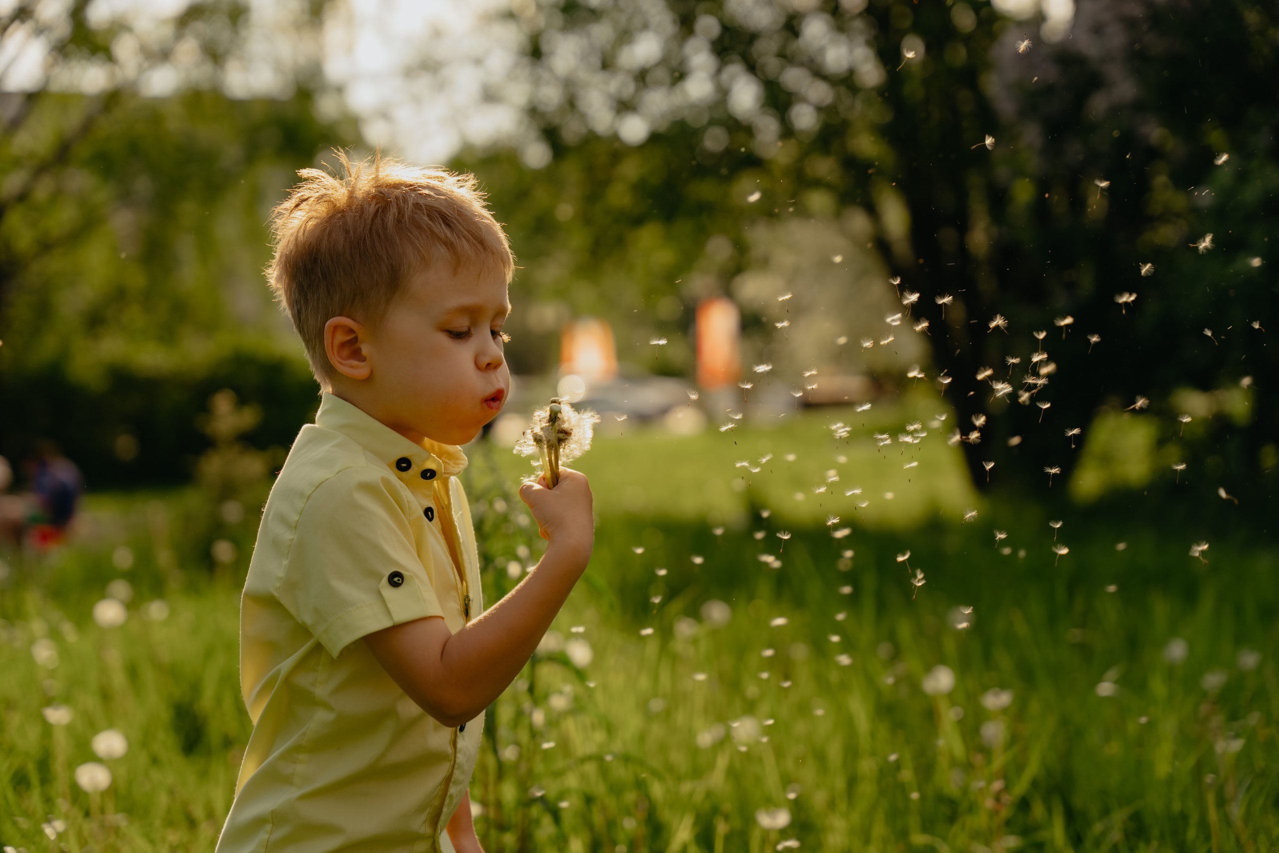 Сиреневое настроение