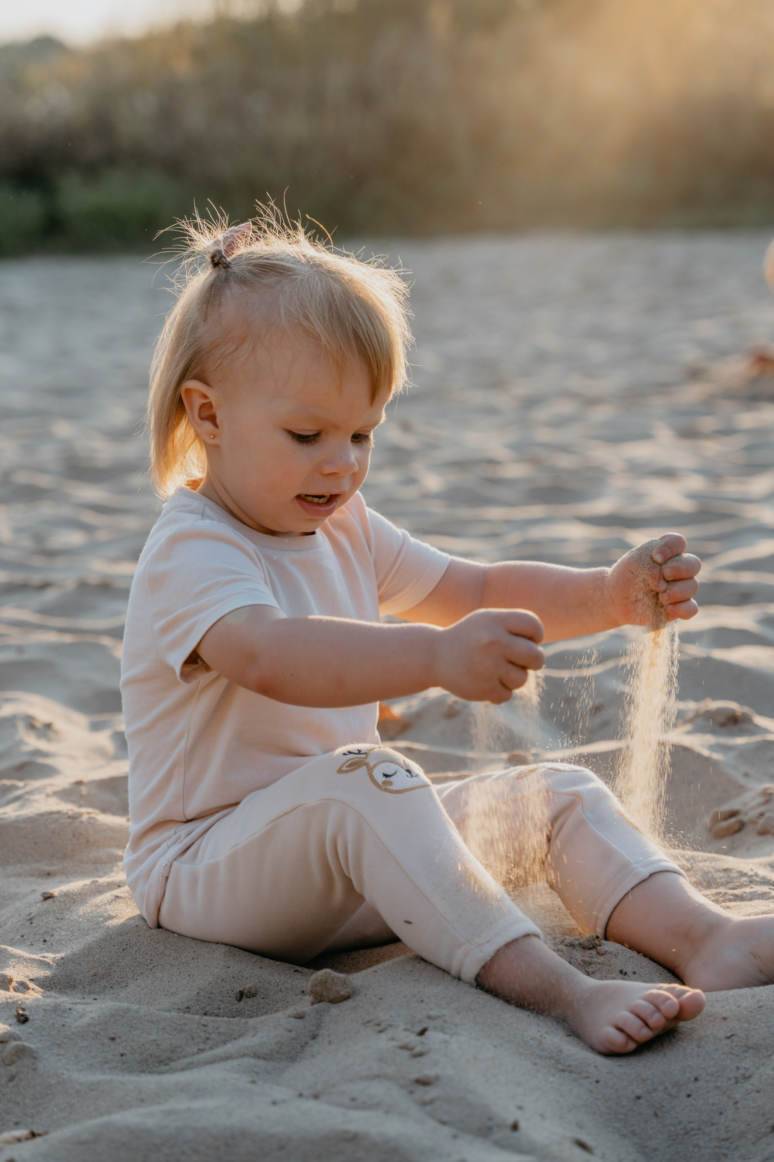 Осенние краски в закате солнца
