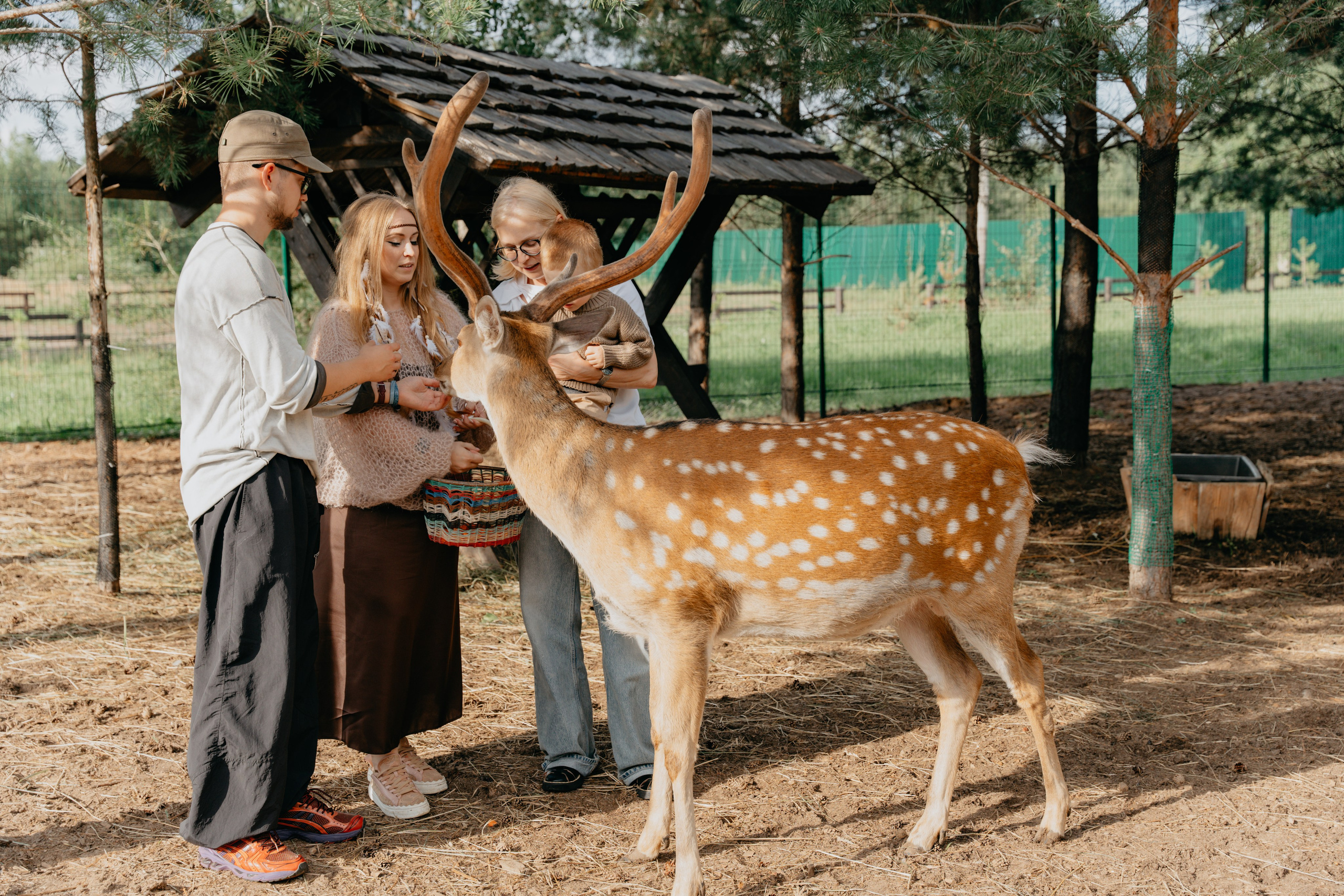 В гости к оленям