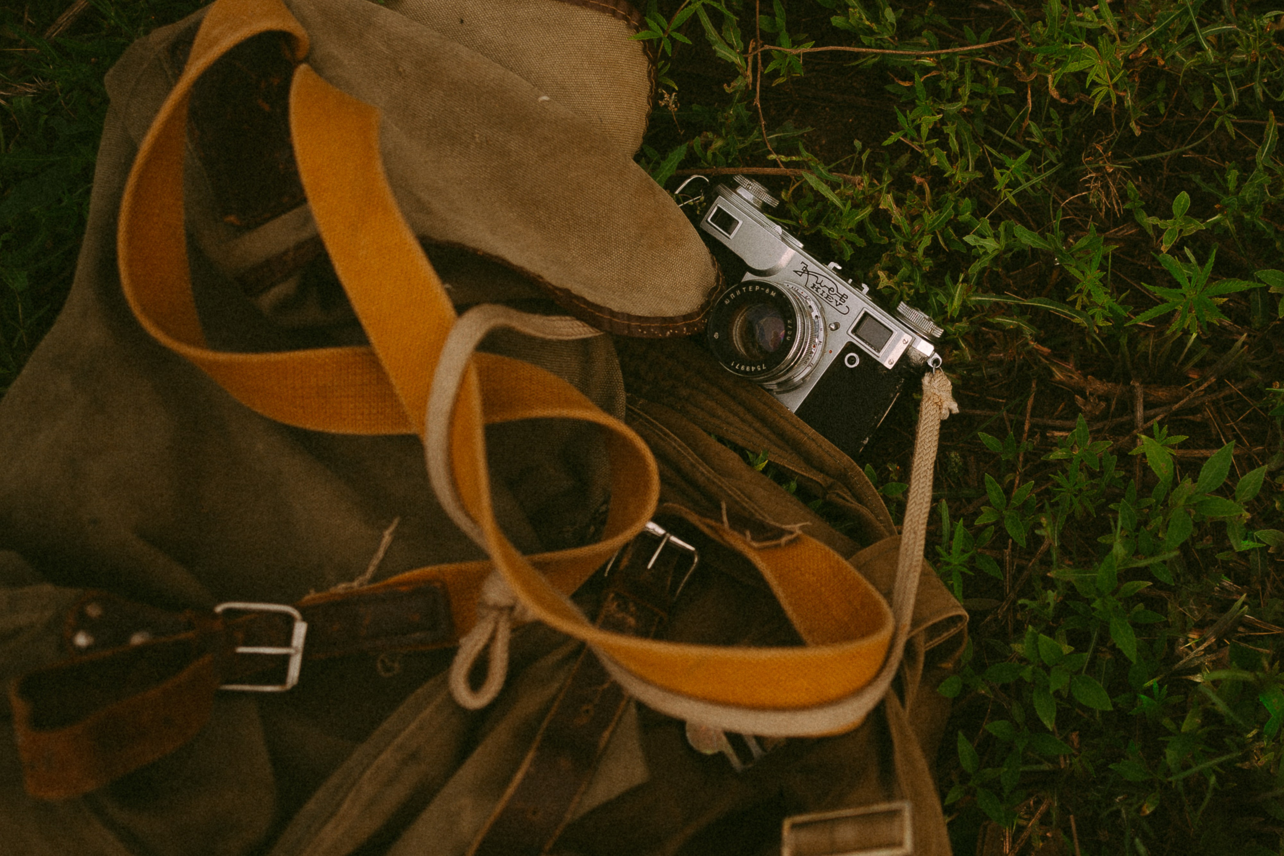 Королевство полной луны. Семейный фотограф в Калининграде Елена Глазунова
