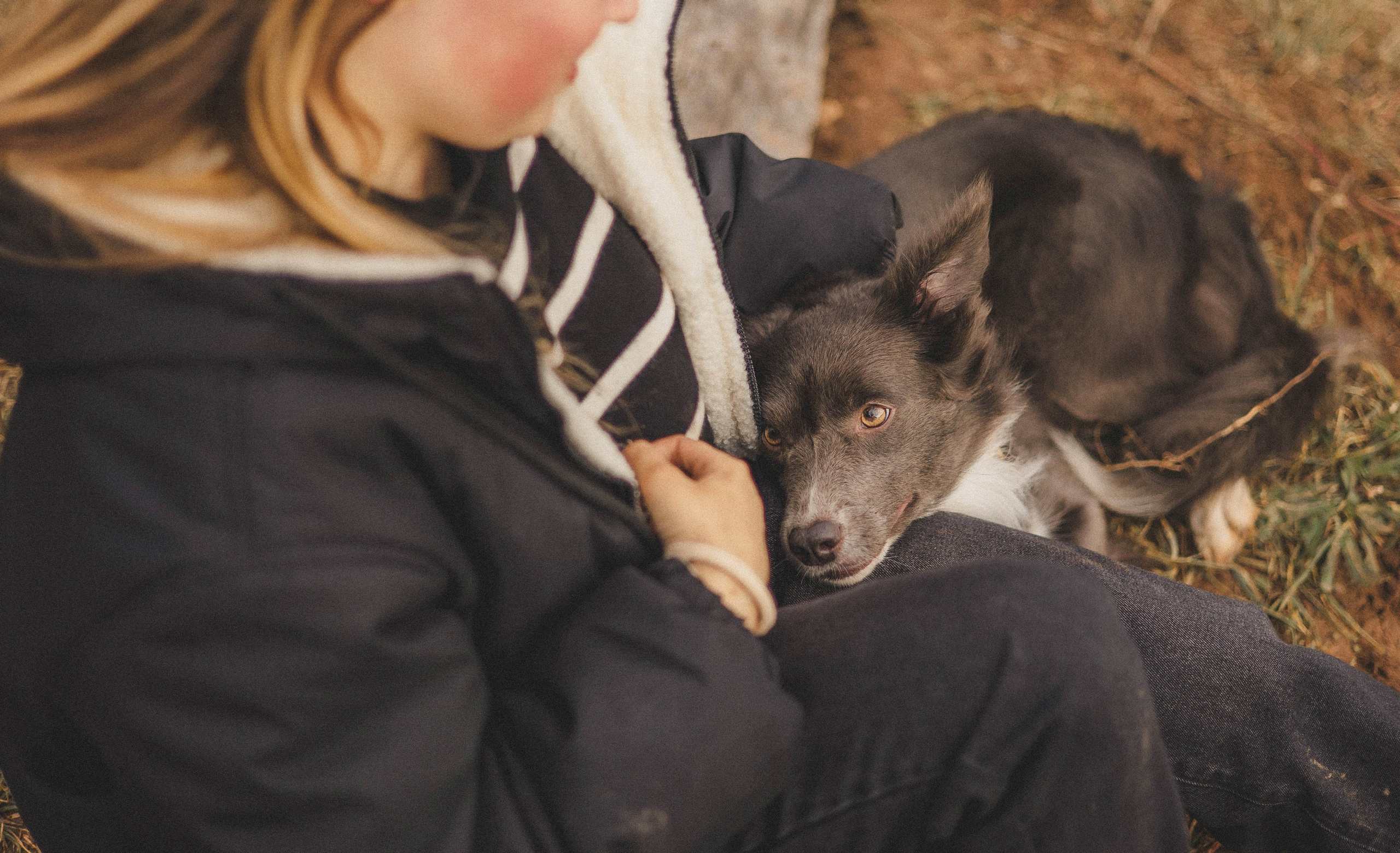 Даша и Дже. Фотограф-анималист Богданова Полина