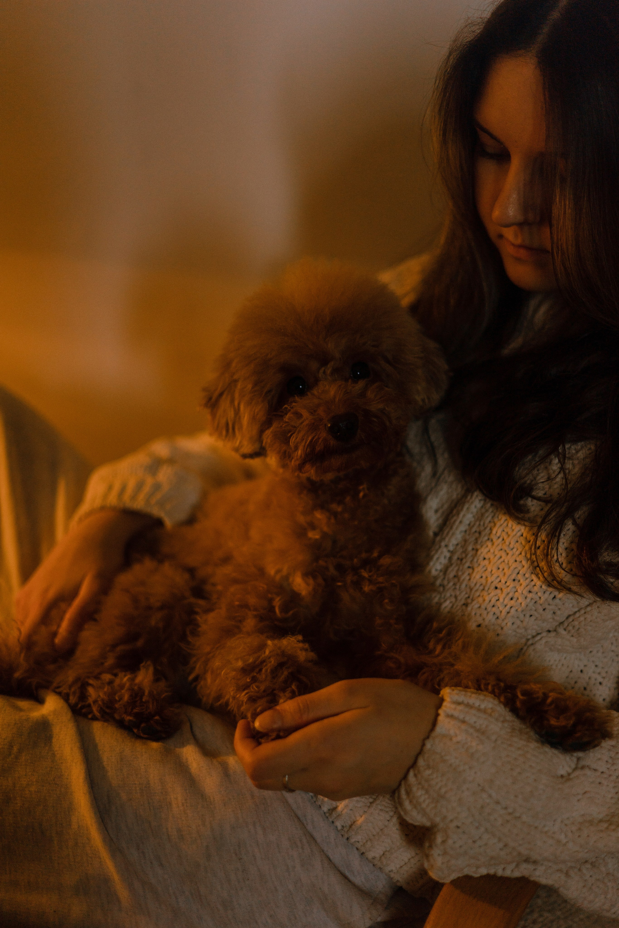 Маша, Одди и Нэвил. Фотограф-анималист Богданова Полина