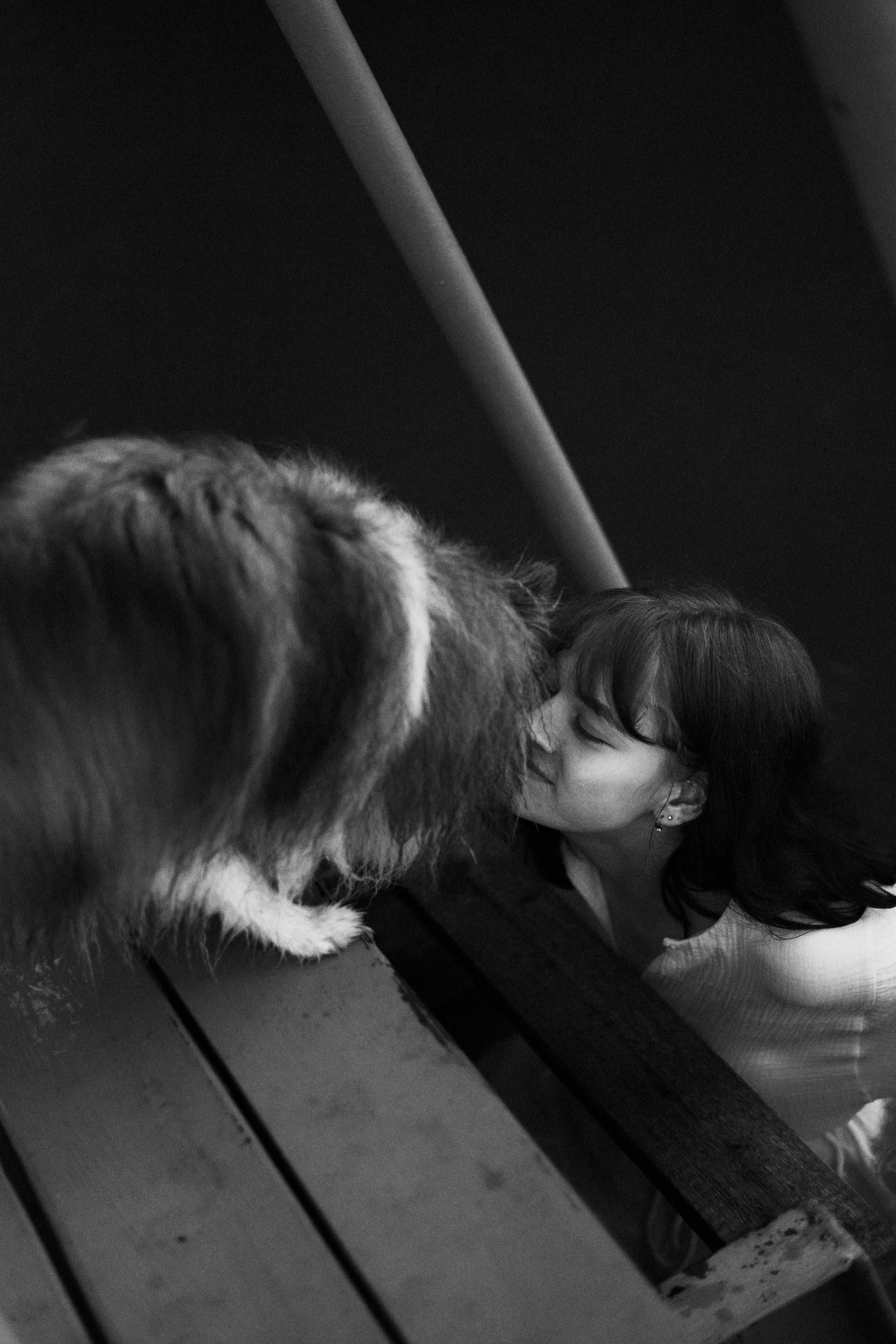 Аня и Скай. Фотограф-анималист Богданова Полина