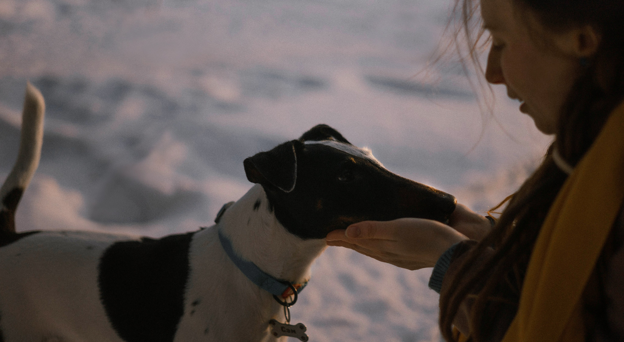 Ольга и Сэм. Фотограф-анималист Богданова Полина