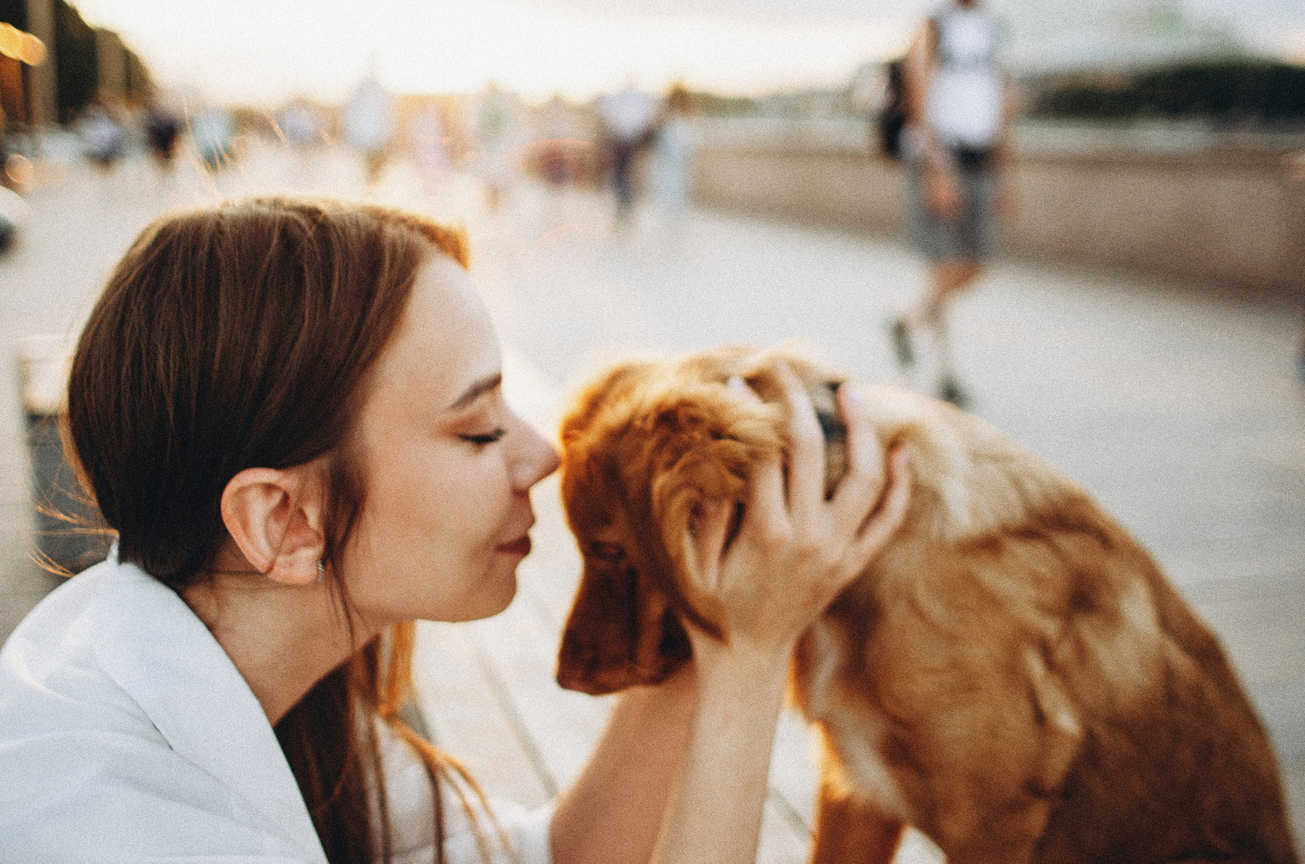 Вика и Хардин. Фотограф-анималист Богданова Полина