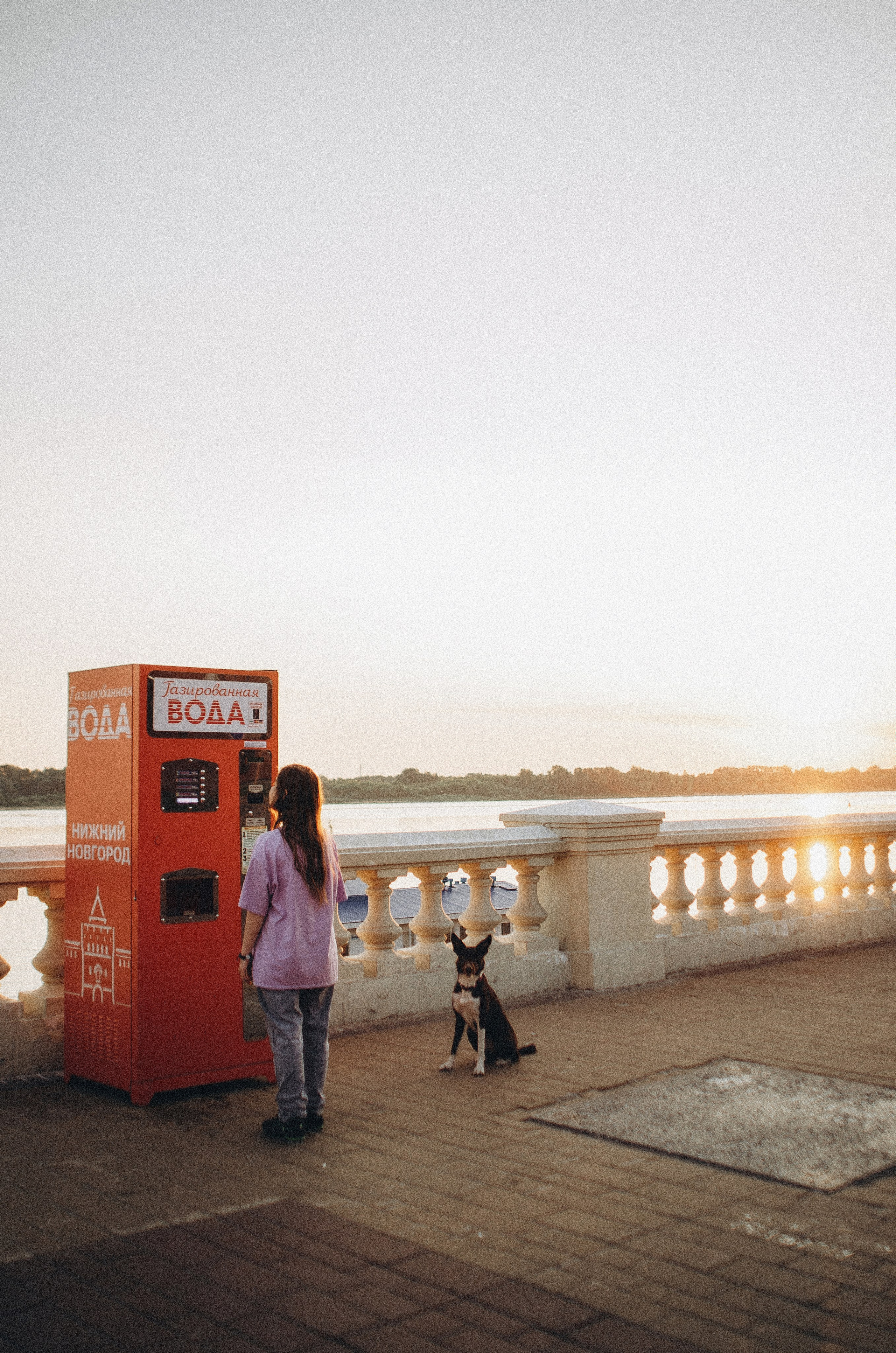 Вика и Эсса. Фотограф-анималист Богданова Полина