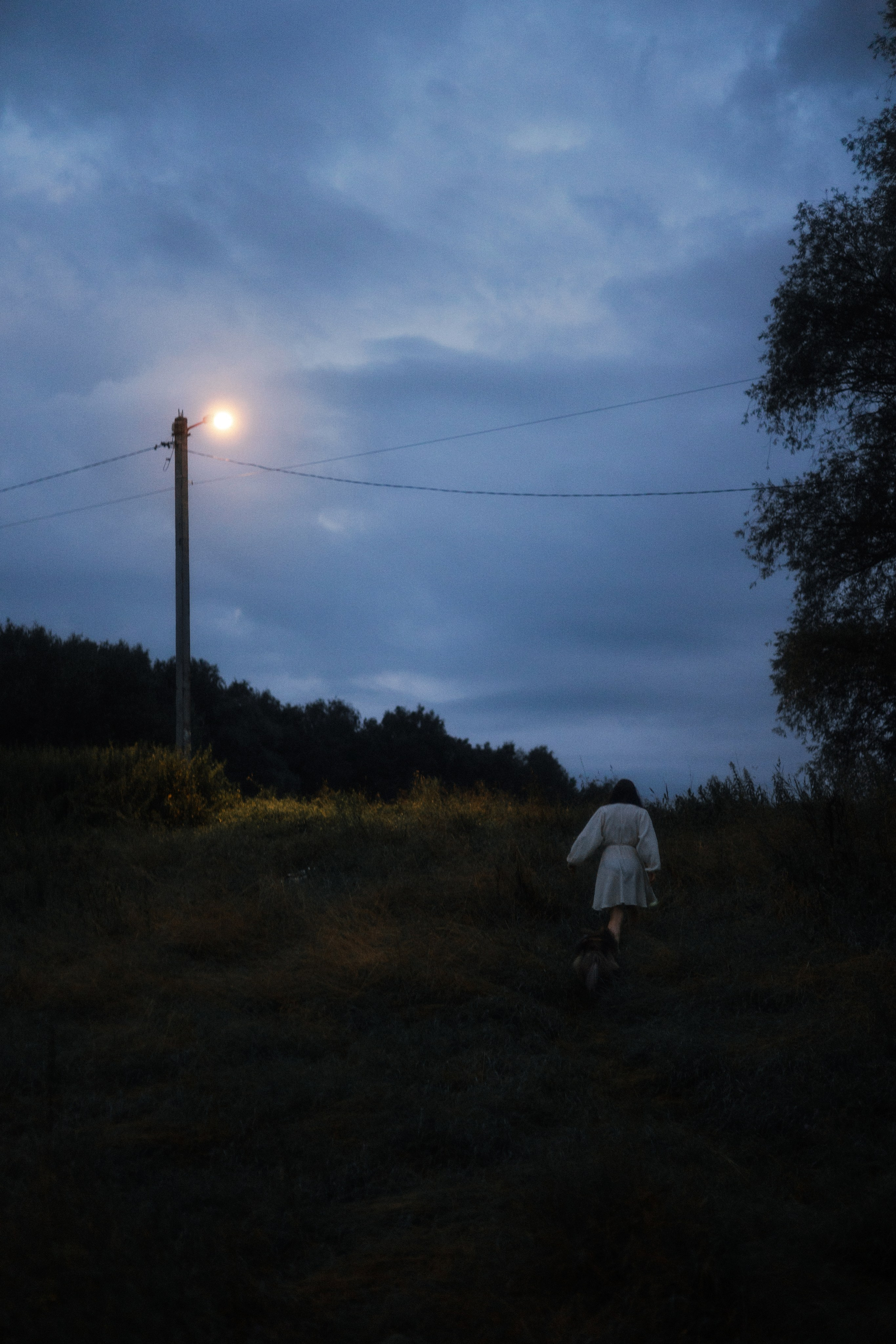 Аня и Скай. Фотограф-анималист Богданова Полина