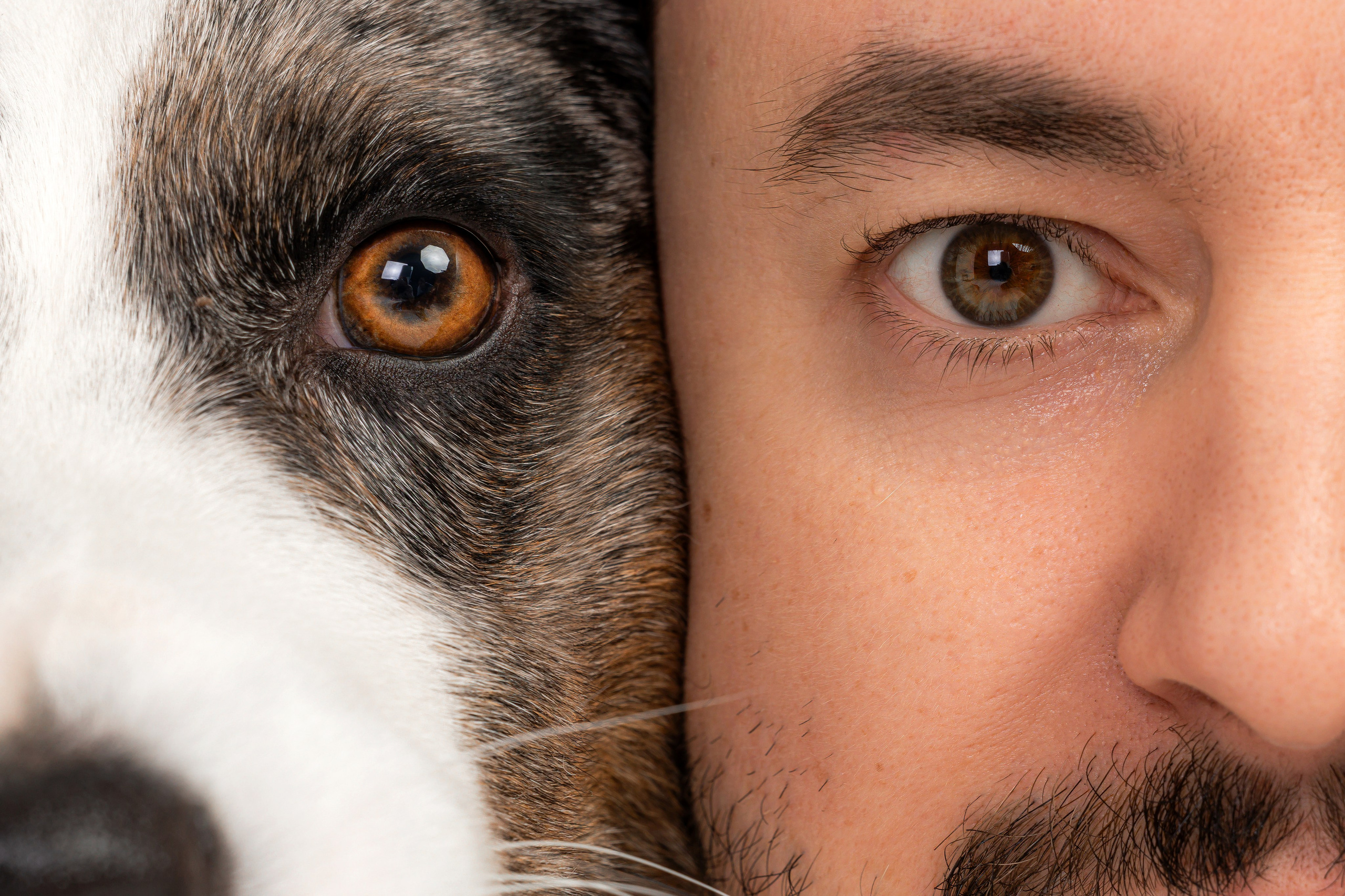 Анатолий и Рагнар