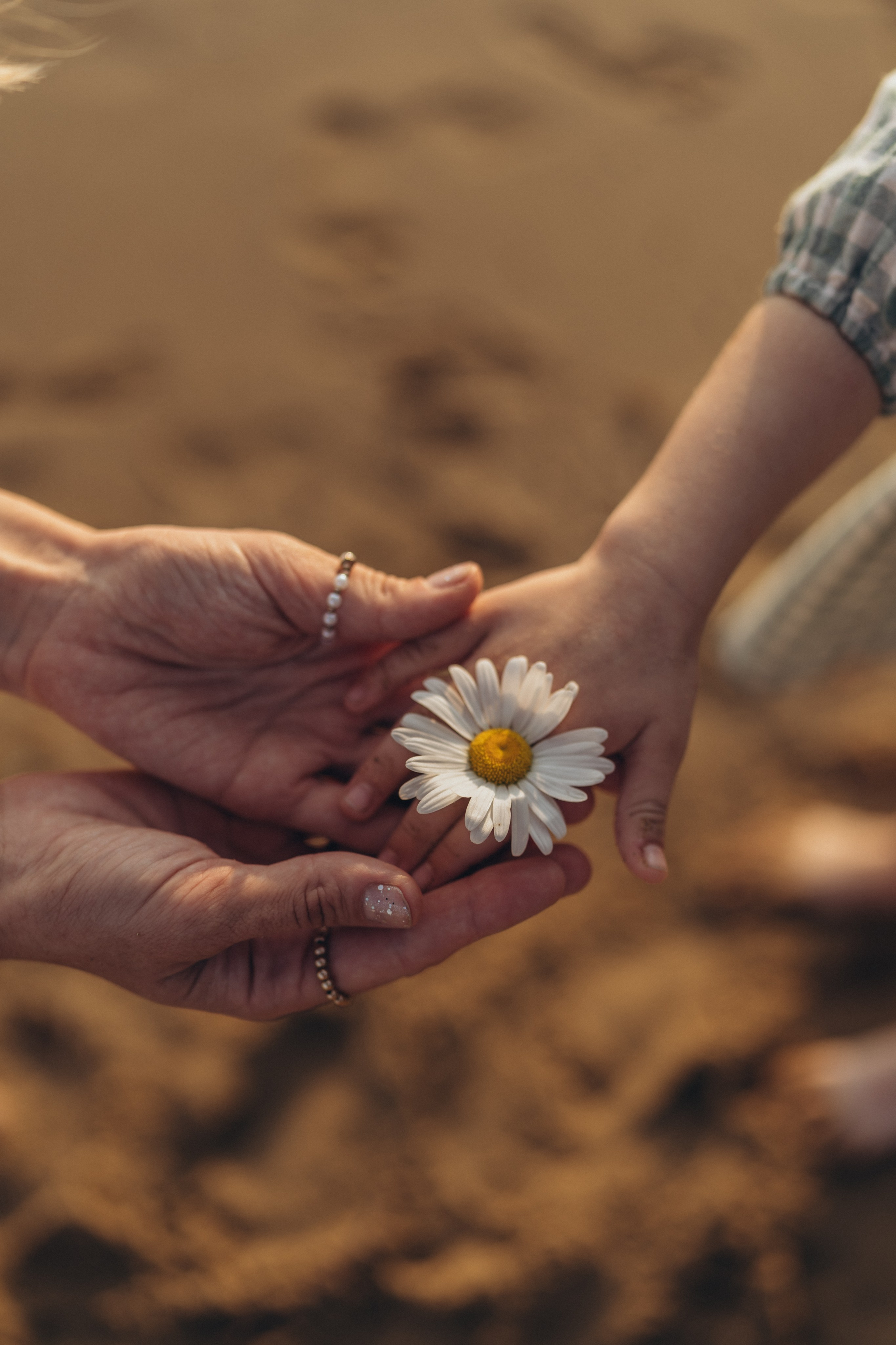 Capture this moment. Семейный фотограф в Ангарске/ Иркутске