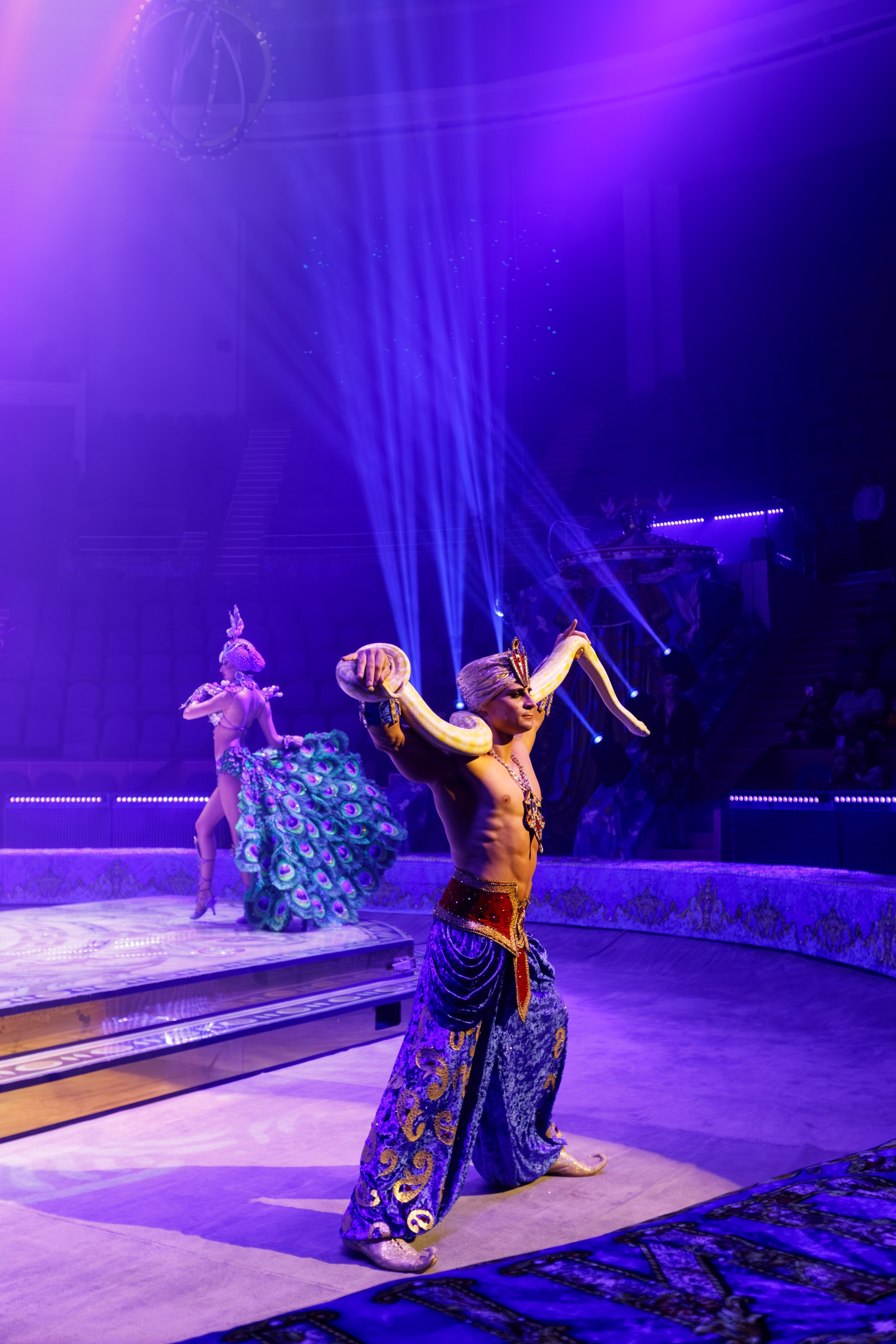 Сочинский росгорцирк Шоу Гии Эрадзе цирк. Профессиональный фотограф в Сочи Виктория Джой. Обучение