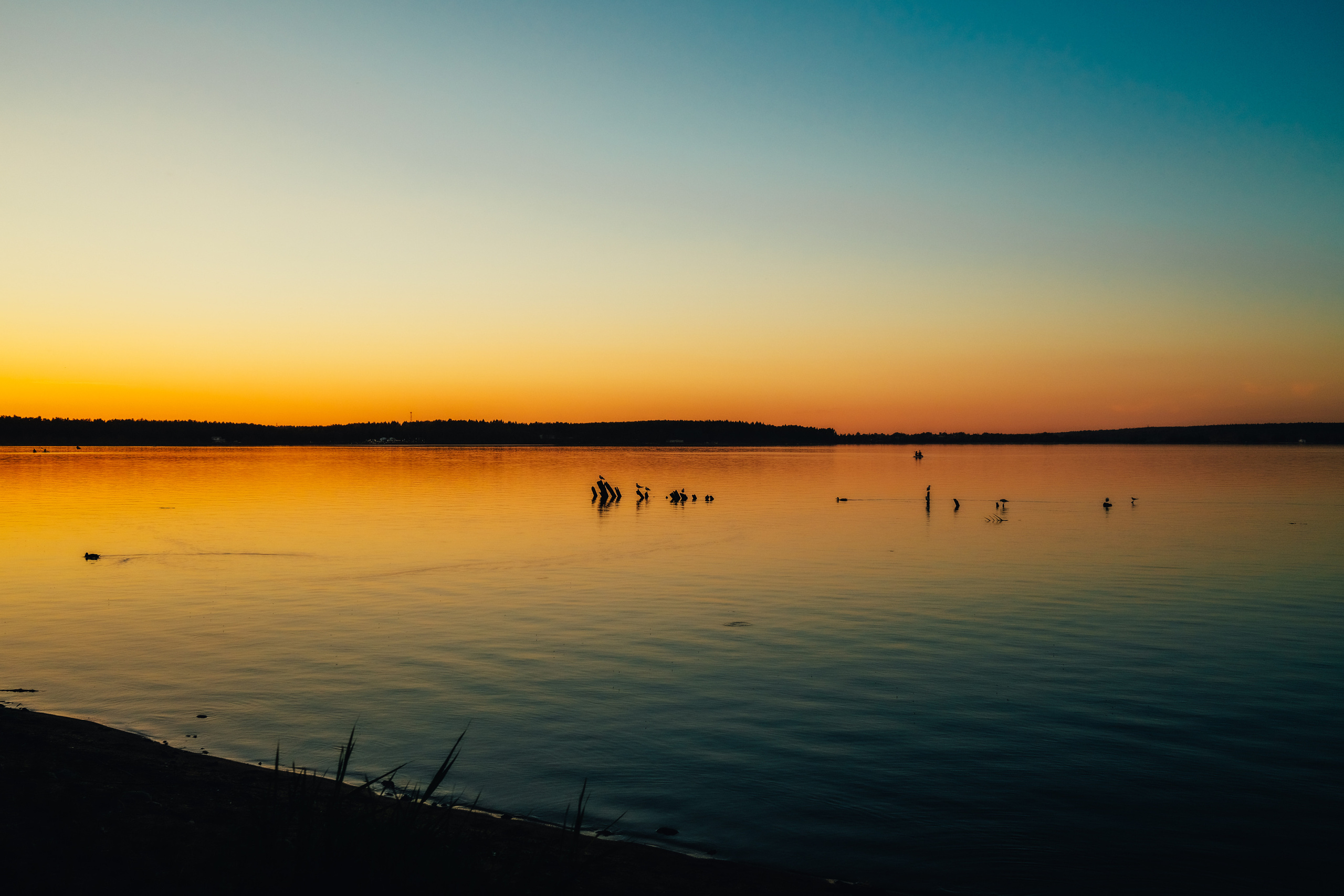 Фотограф Владимир Кононенко