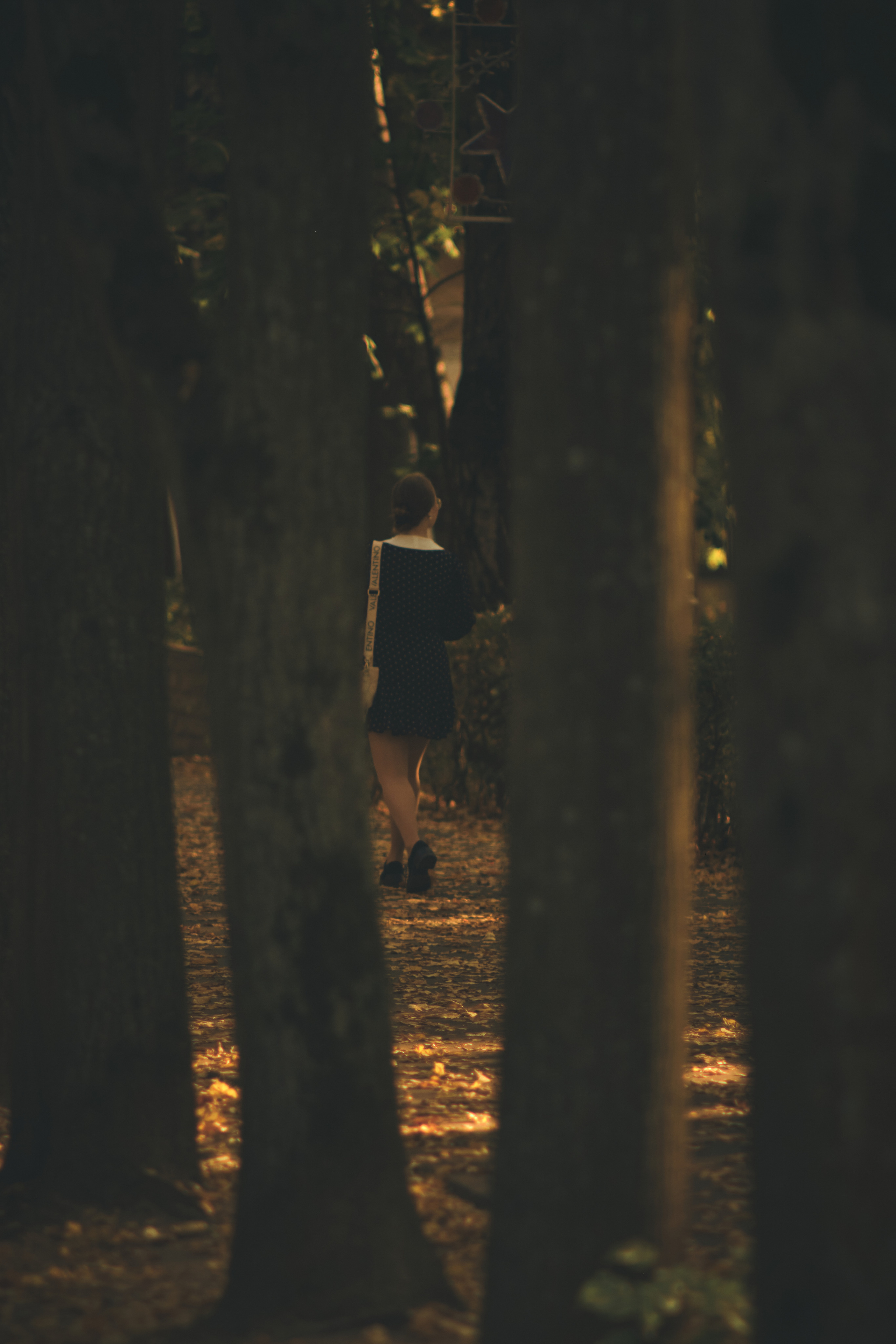 Фотограф Владимир Кононенко