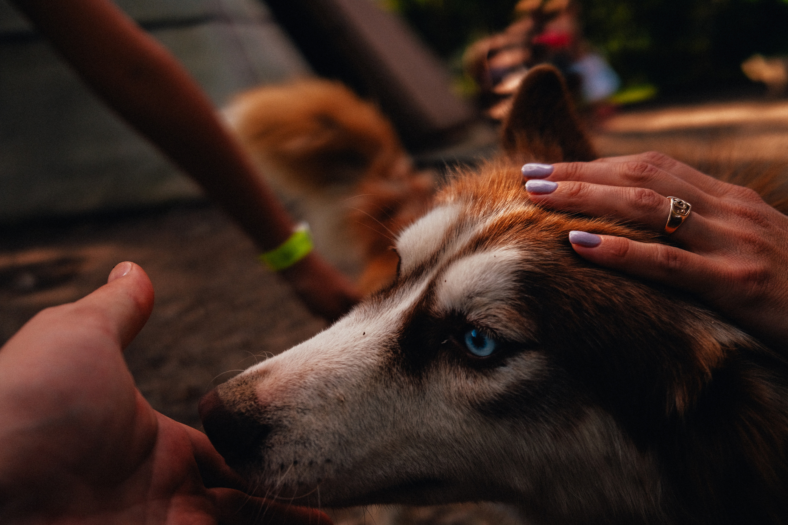 Фотограф Владимир Кононенко