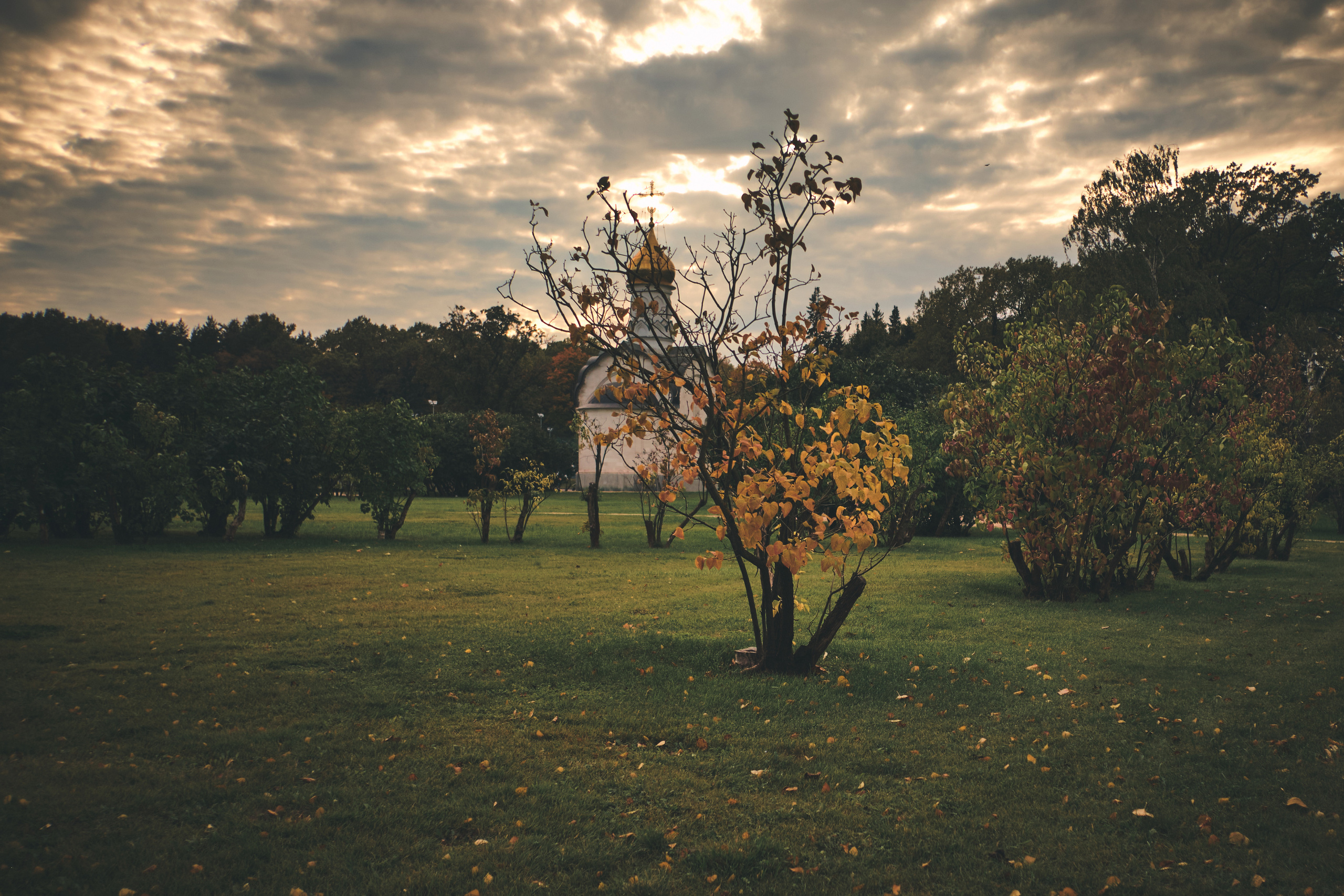 Фотограф Владимир Кононенко
