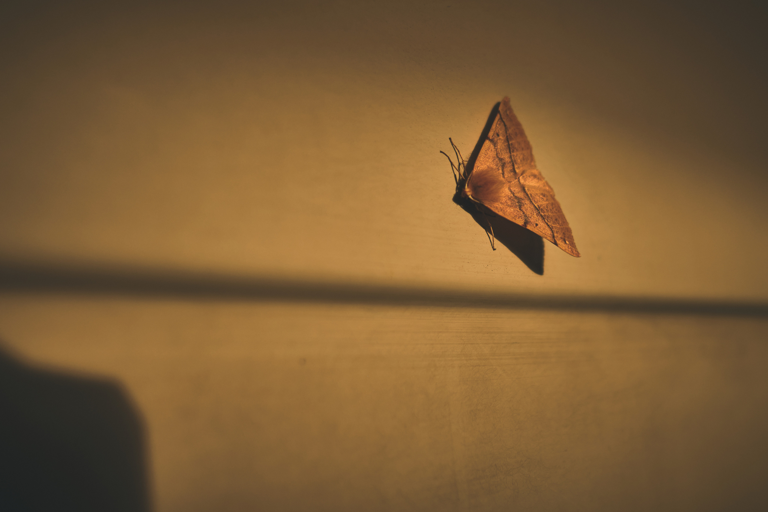 Фотограф Владимир Кононенко