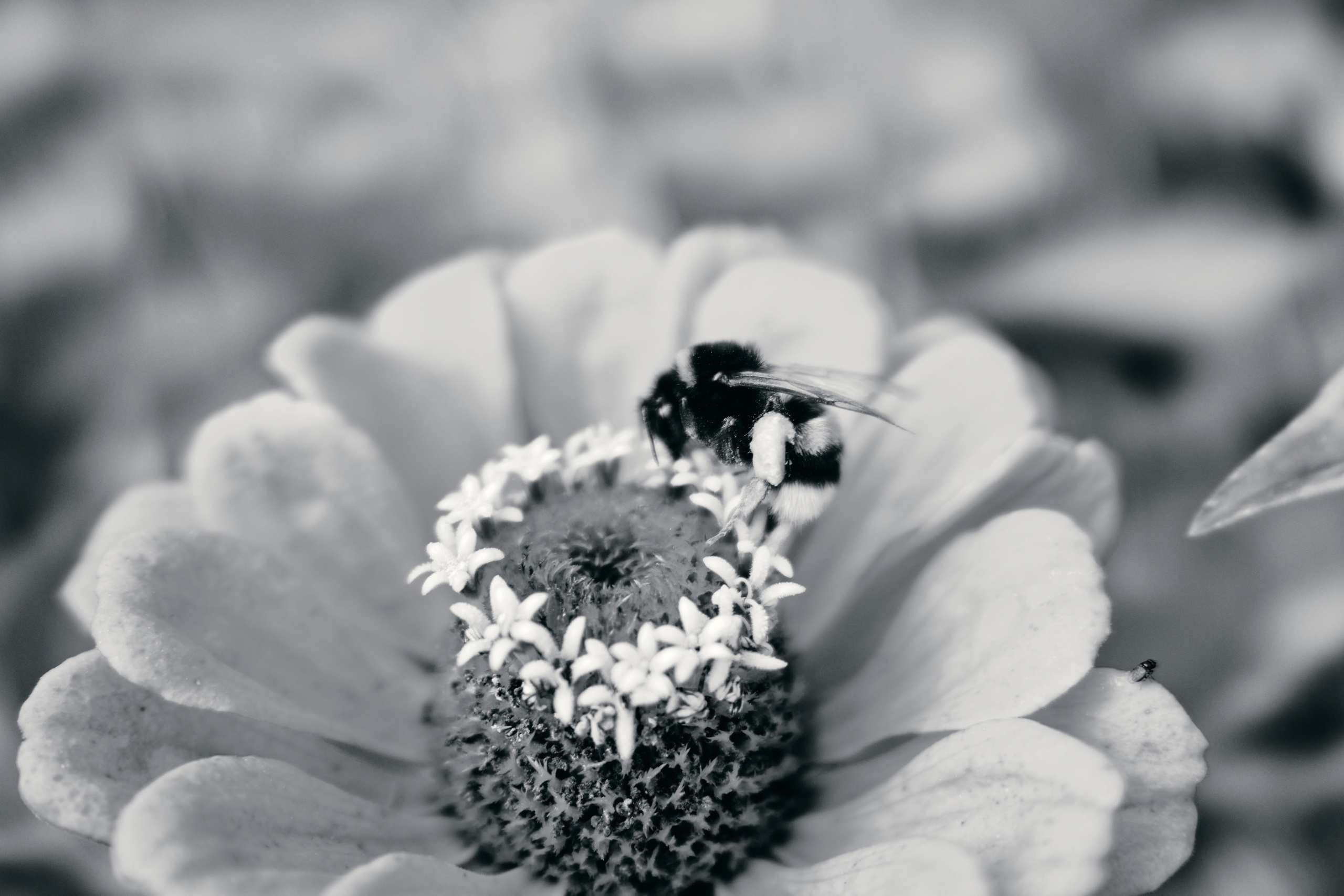 Фотограф Владимир Кононенко