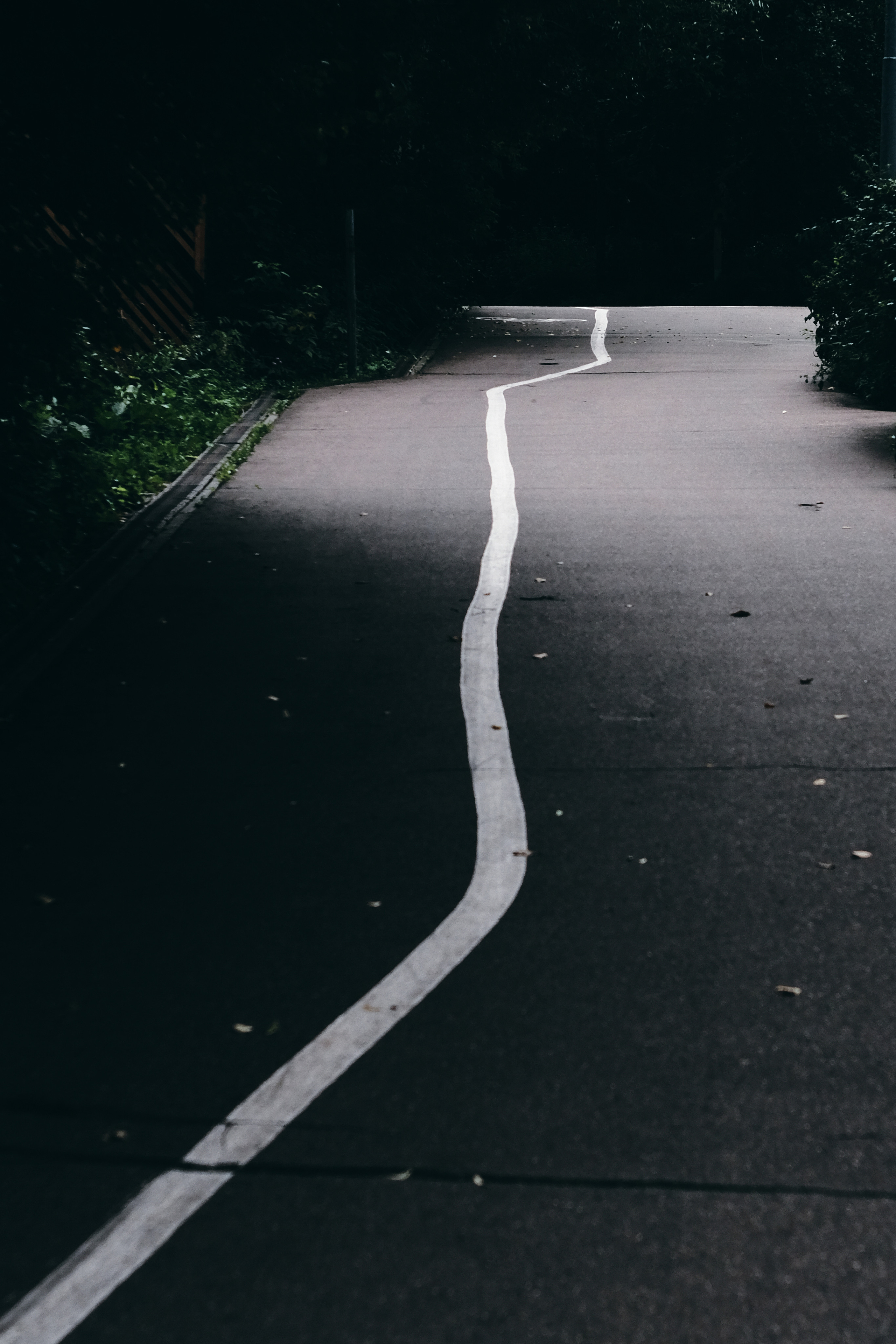 Фотограф Владимир Кононенко