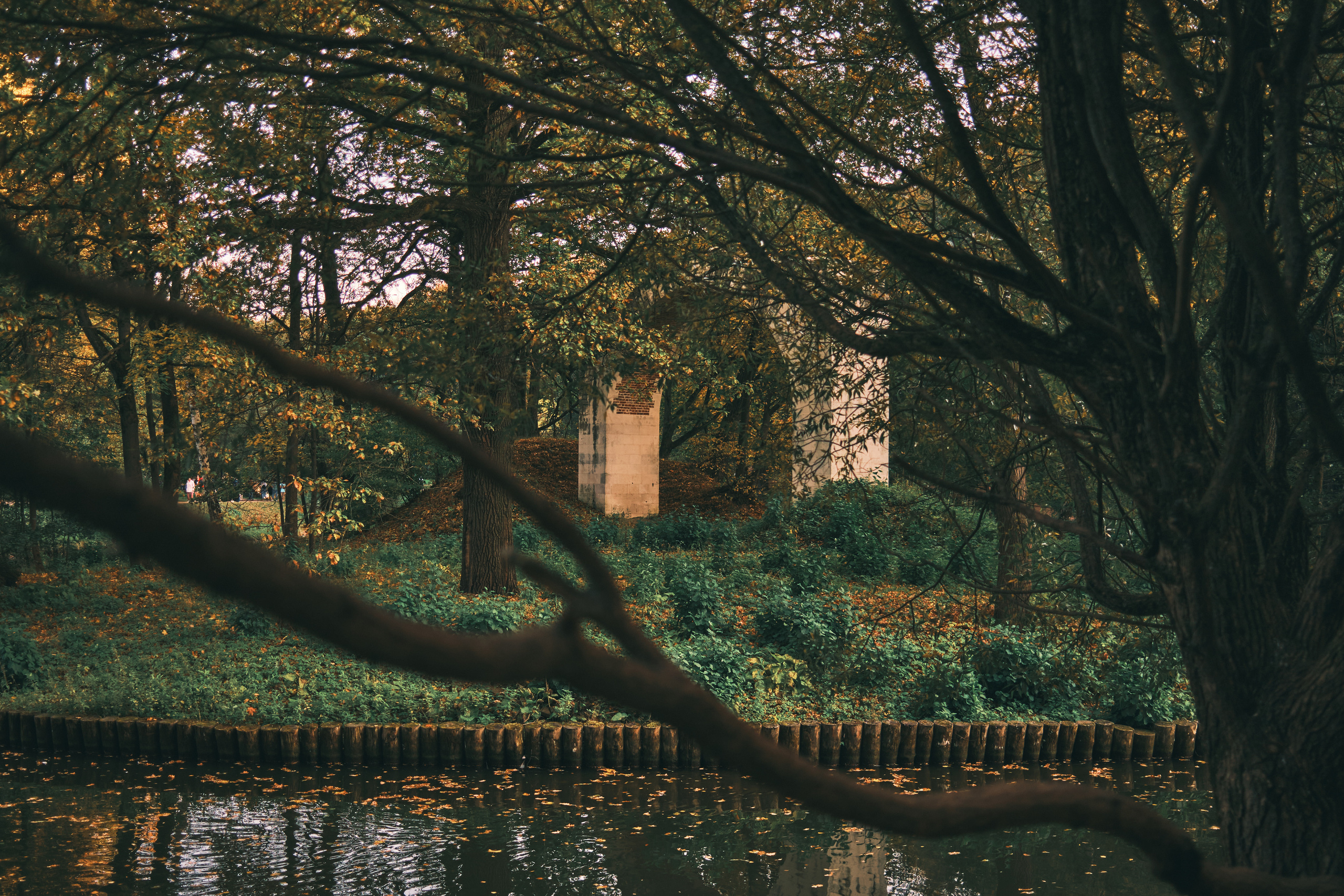 Фотограф Владимир Кононенко