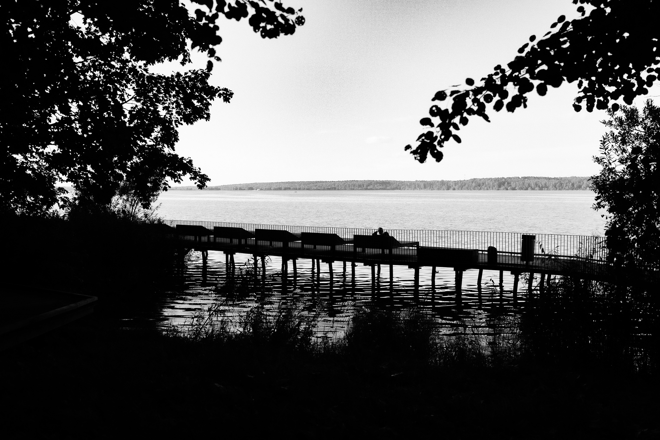 Фотограф Владимир Кононенко