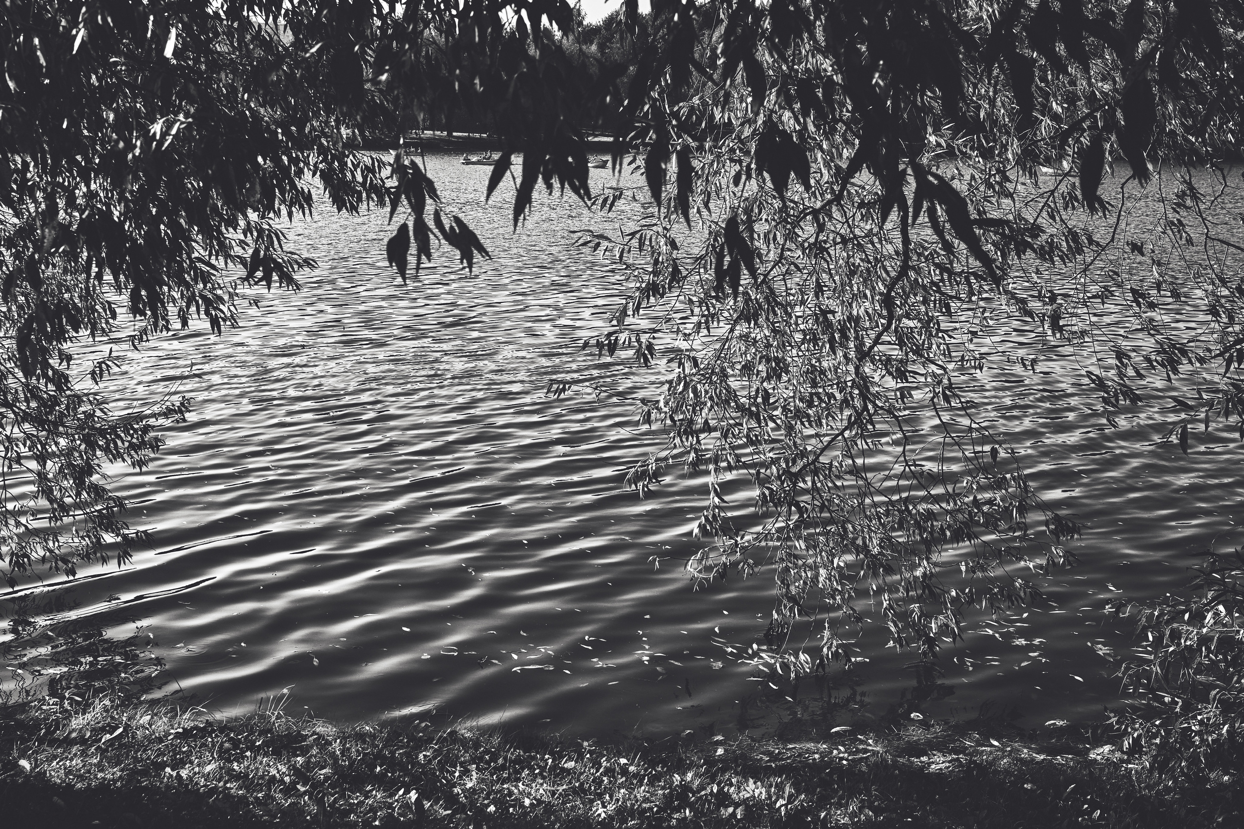 Фотограф Владимир Кононенко