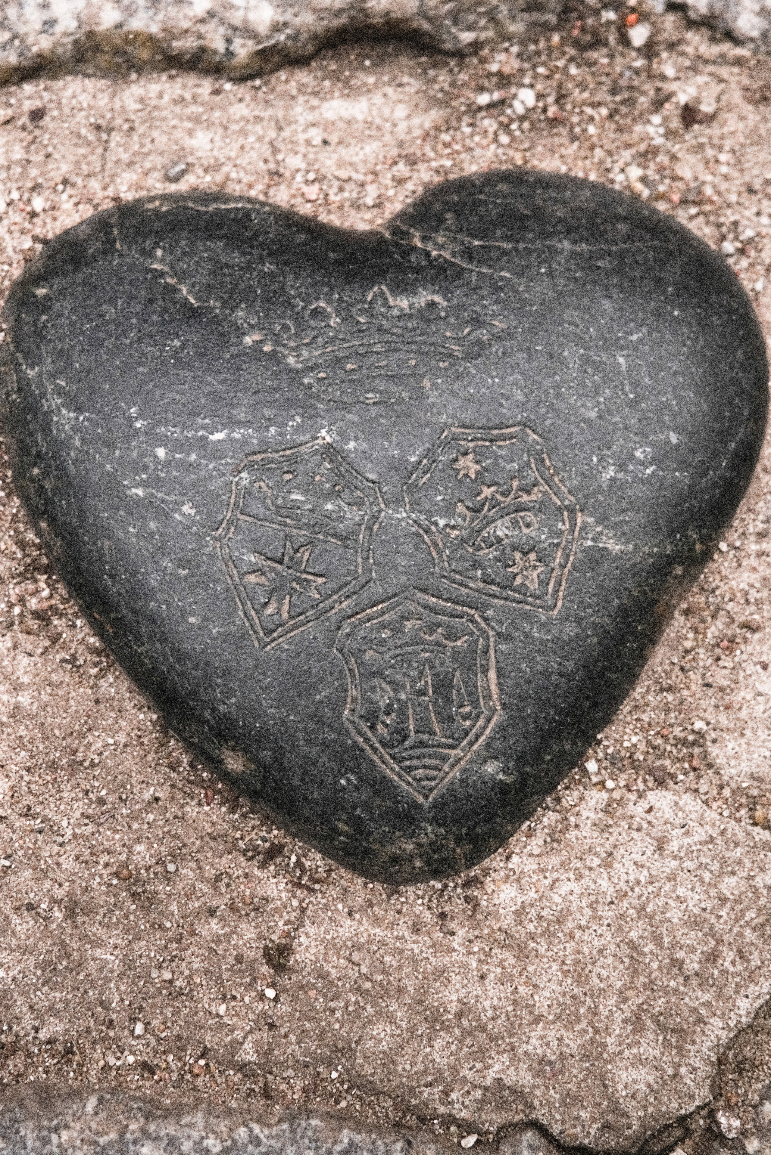 Фотограф Владимир Кононенко