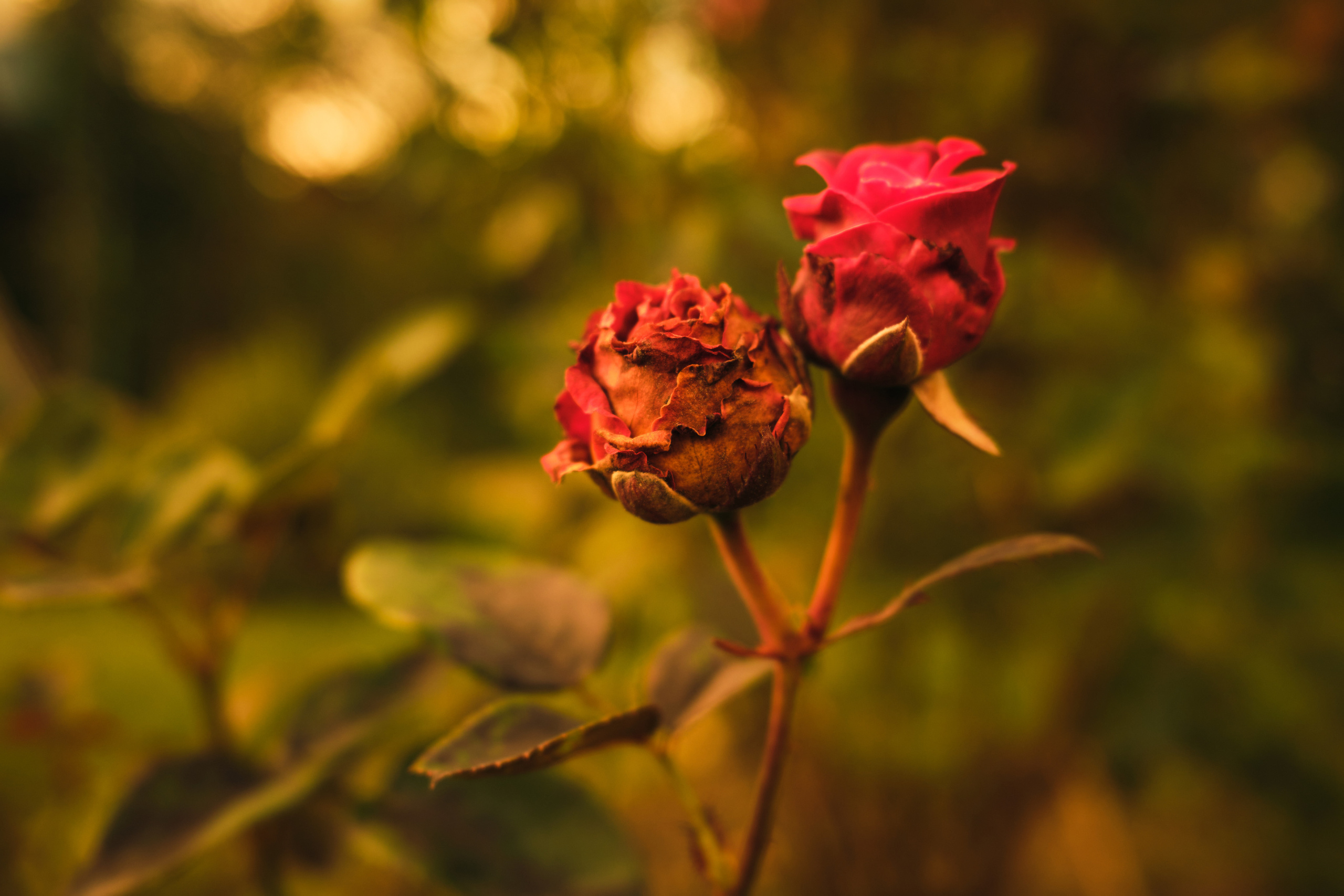 Фотограф Владимир Кононенко