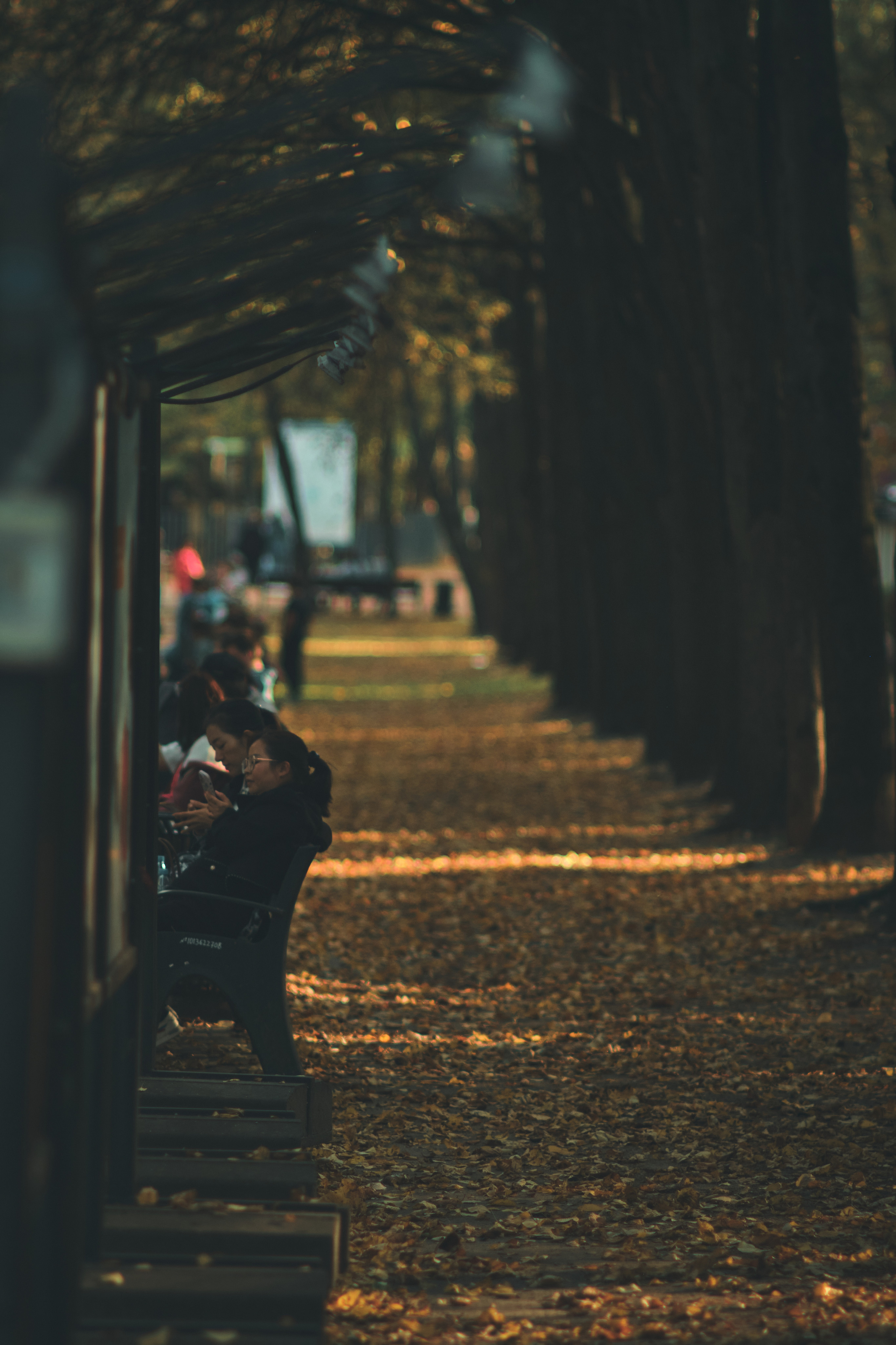 Фотограф Владимир Кононенко