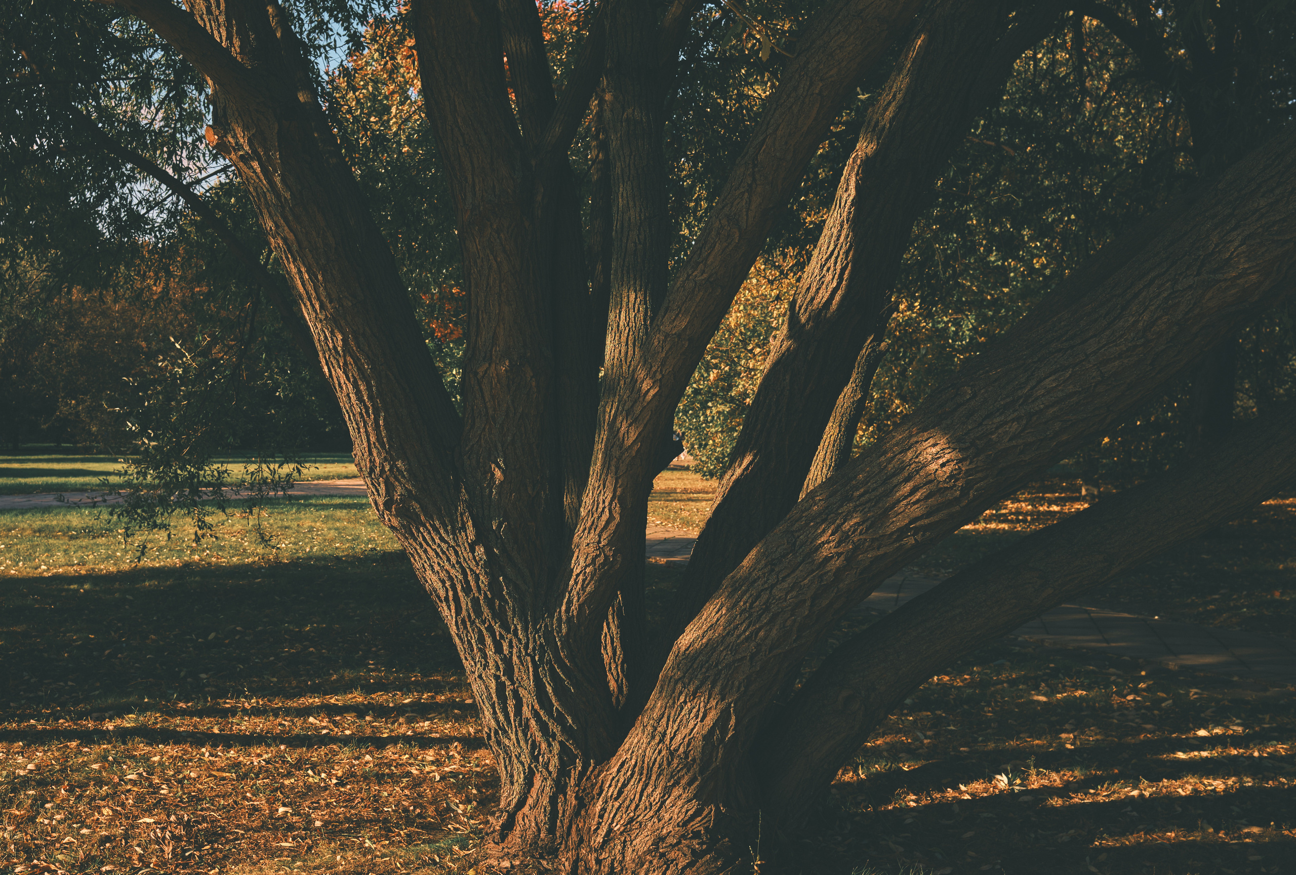 Фотограф Владимир Кононенко