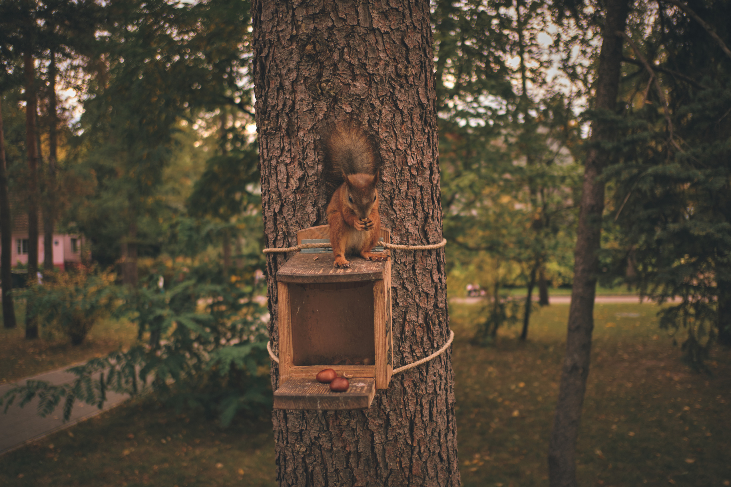 Фотограф Владимир Кононенко