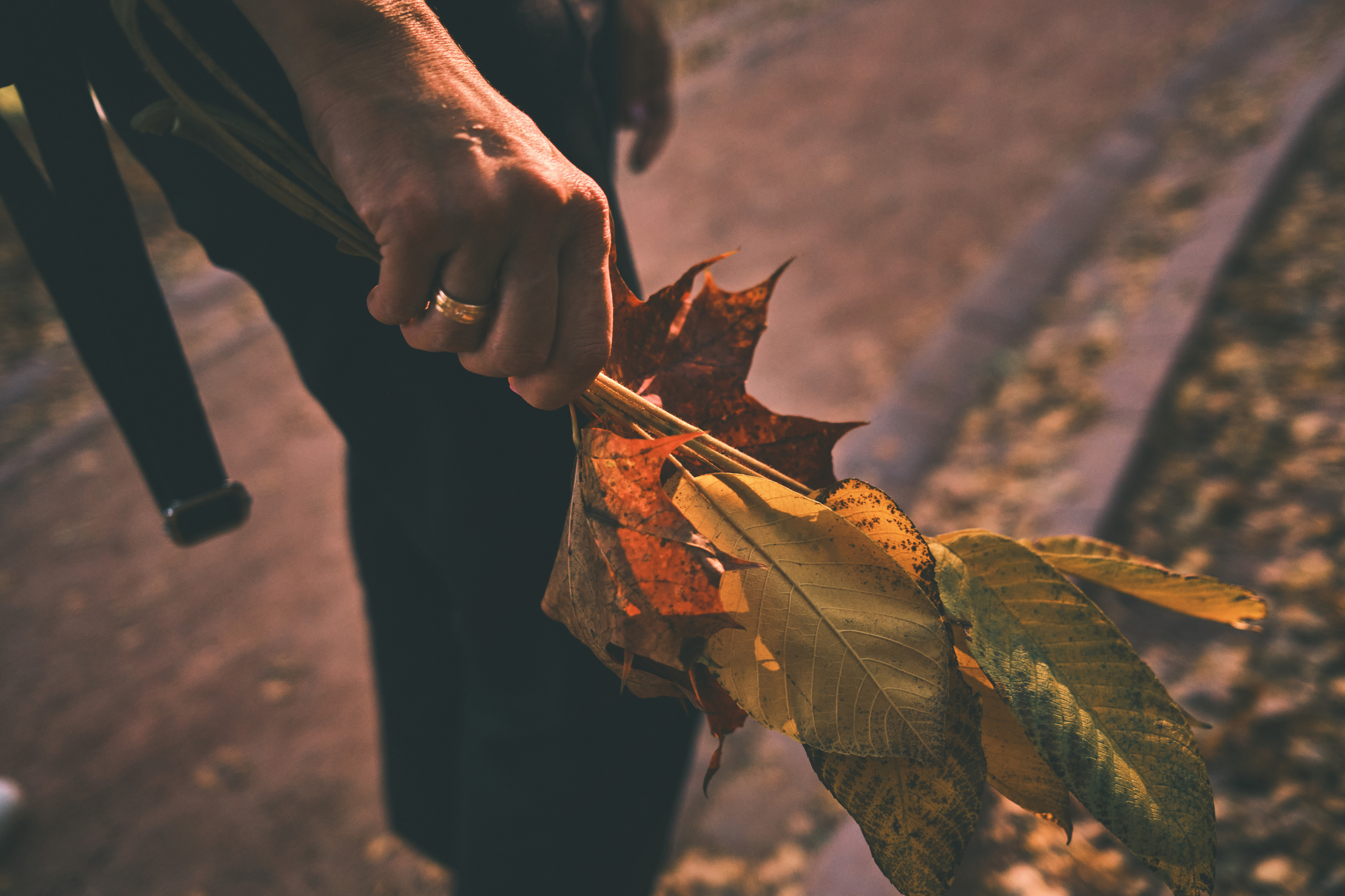 Фотограф Владимир Кононенко
