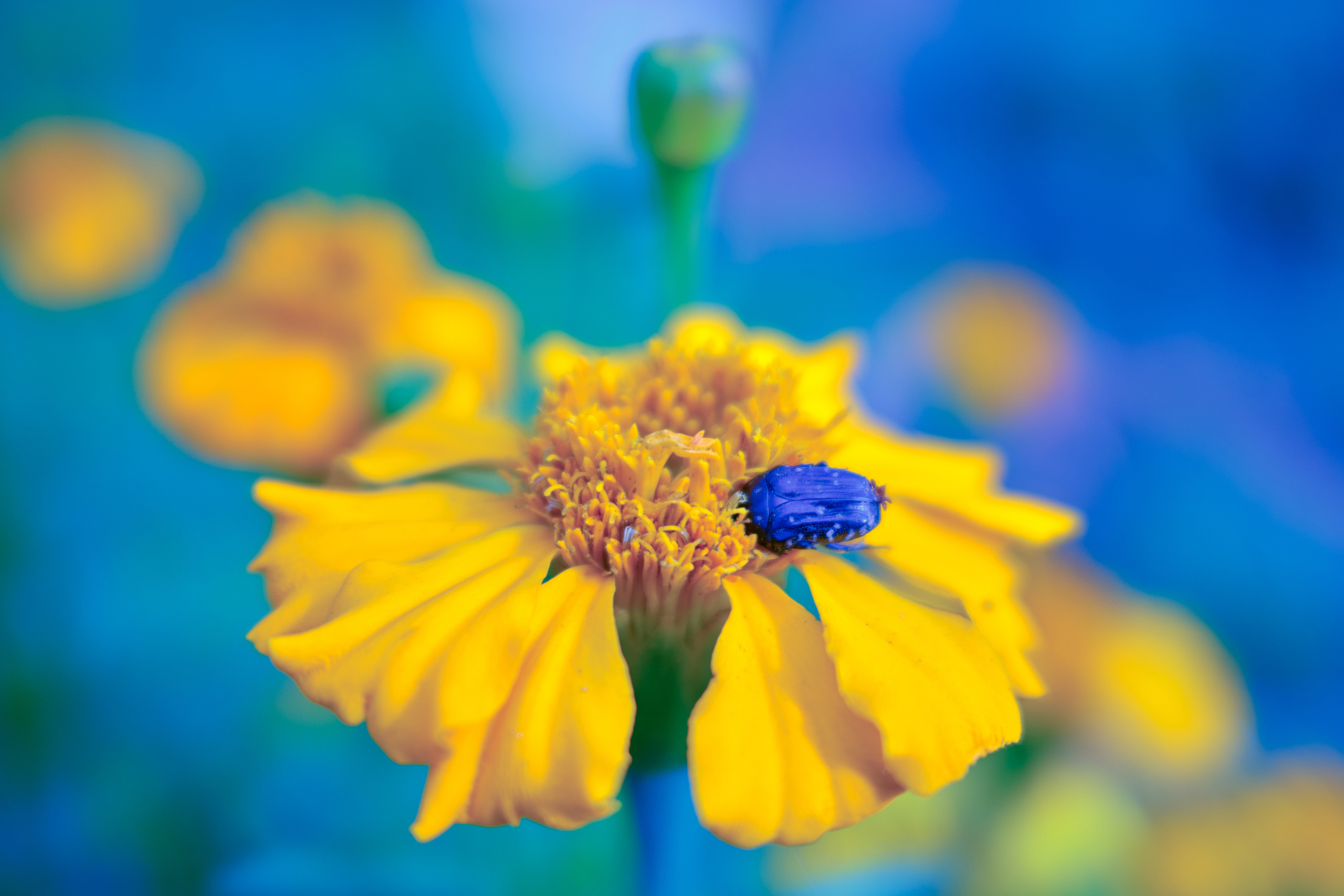 Фотограф Владимир Кононенко