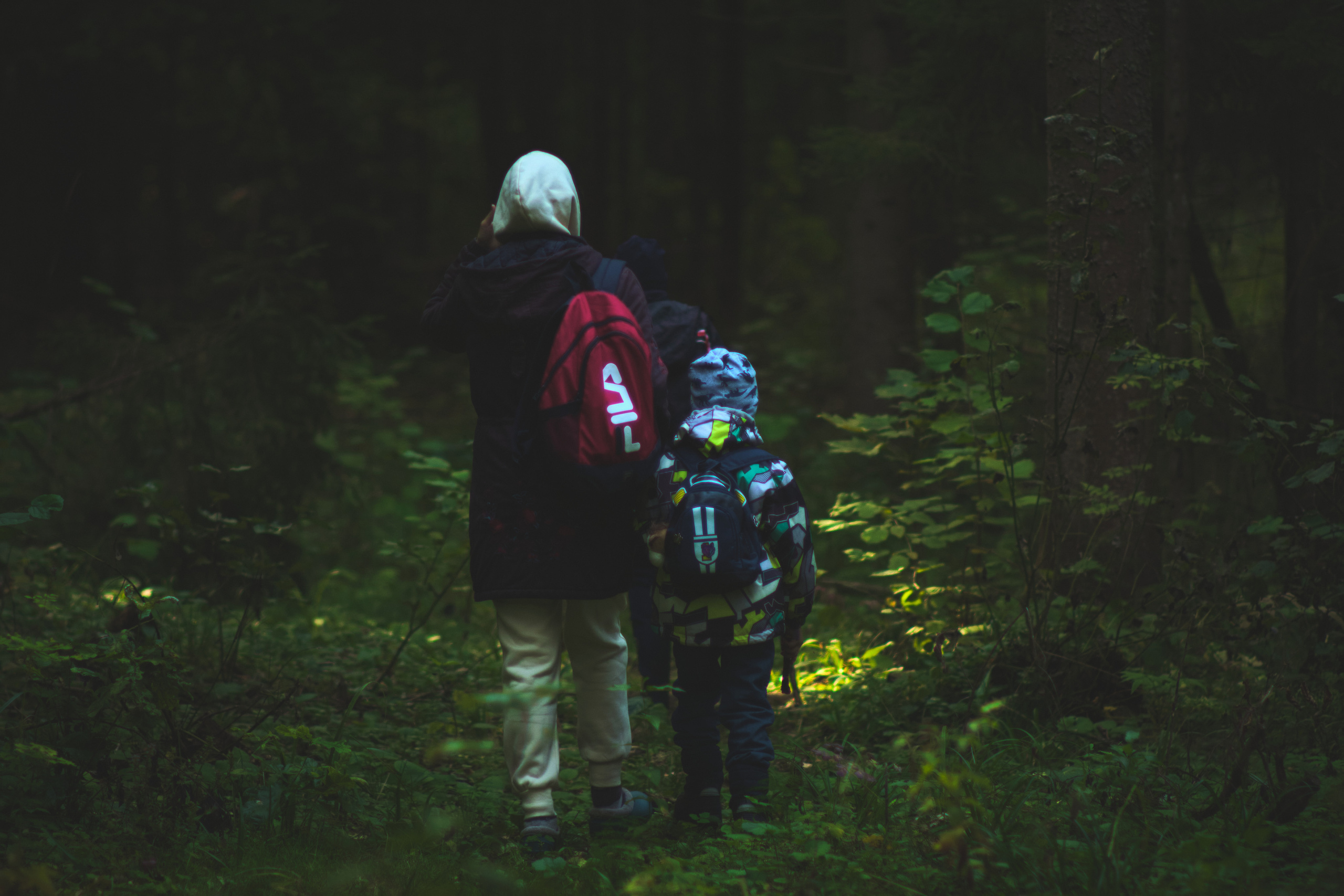 Фотограф Владимир Кононенко