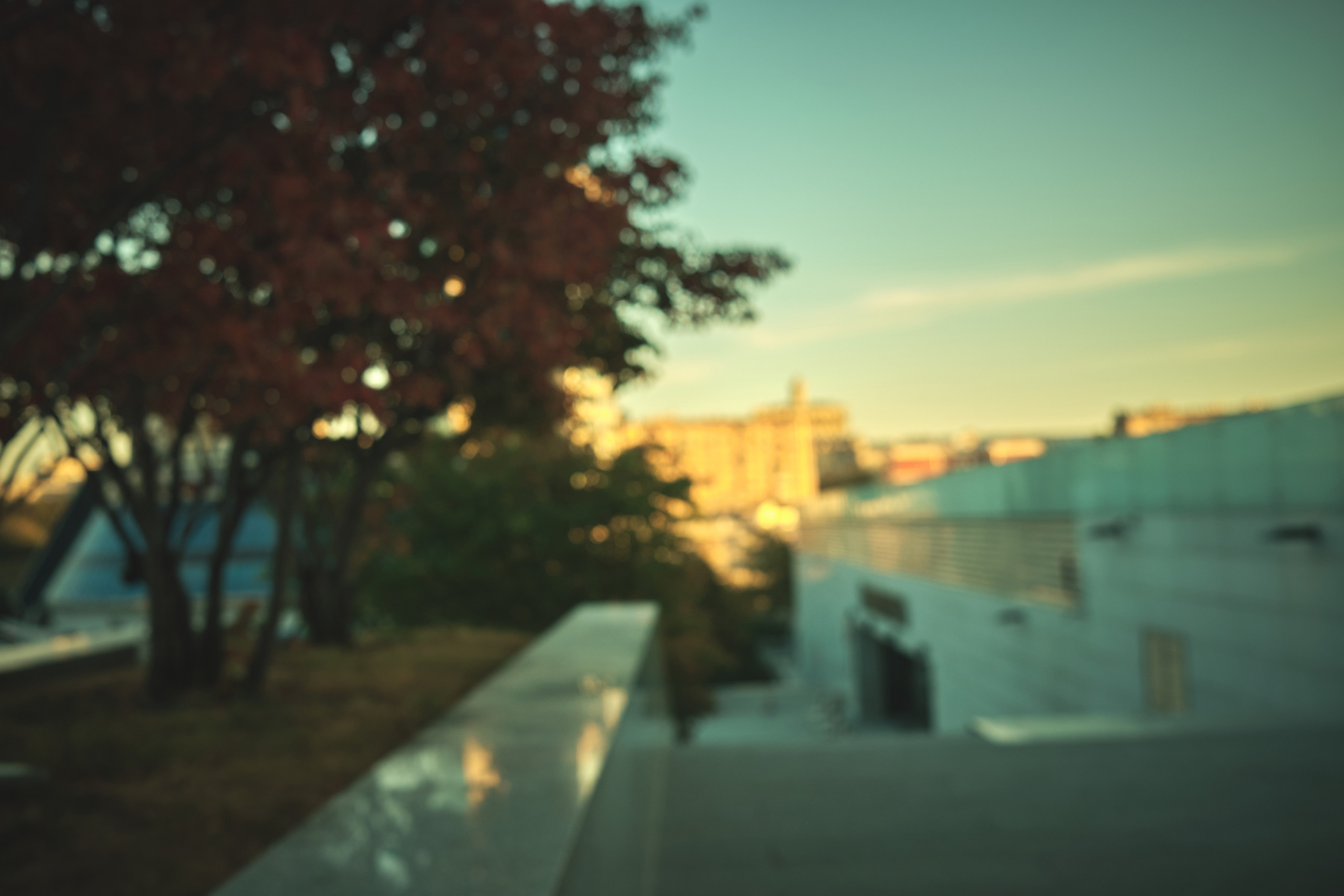 Фотограф Владимир Кононенко