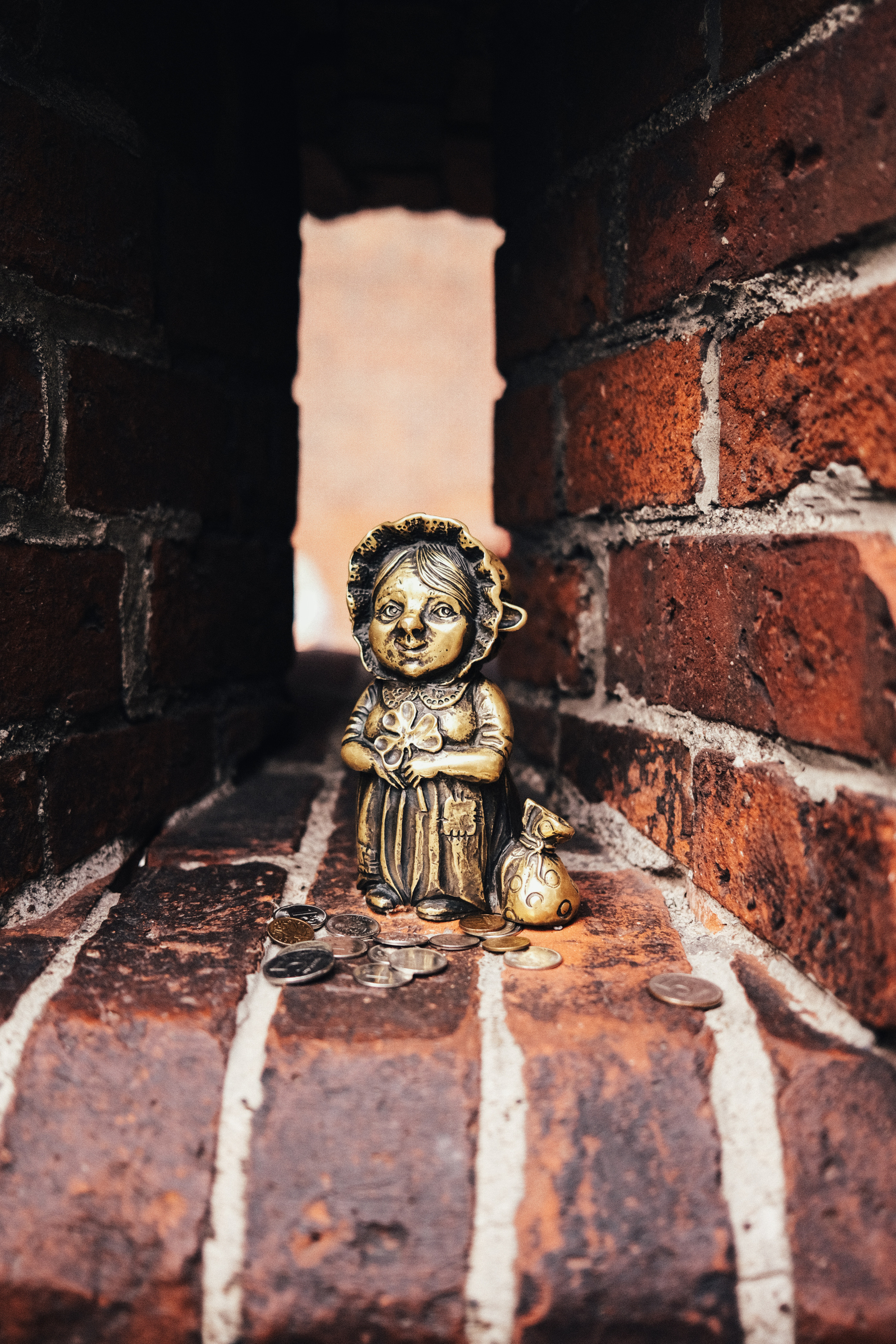 Фотограф Владимир Кононенко