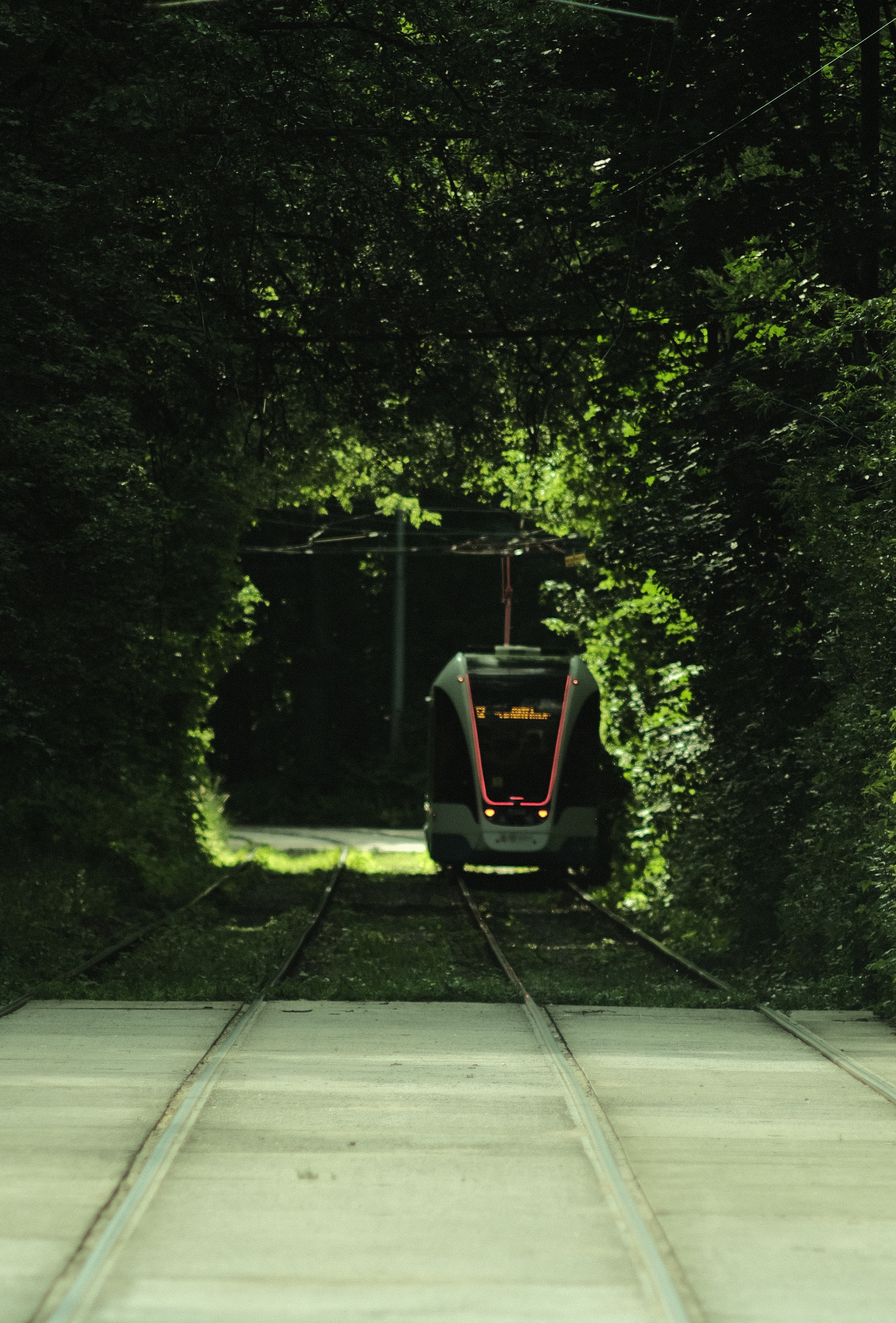 Фотограф Владимир Кононенко