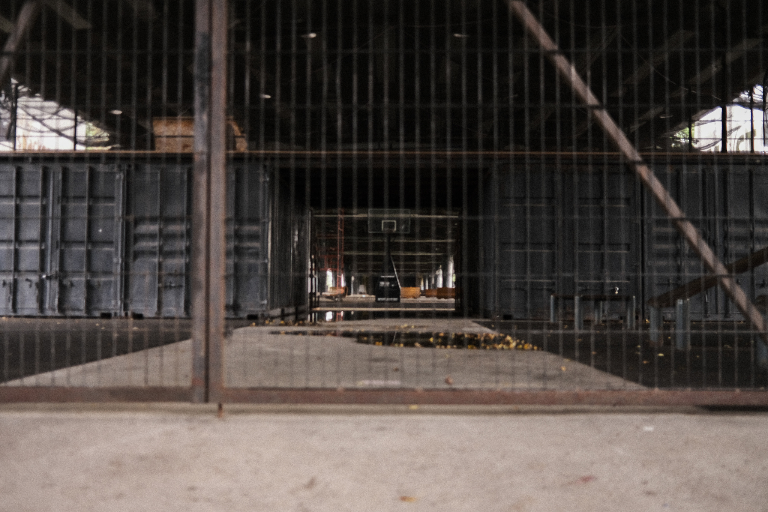 Фотограф Владимир Кононенко